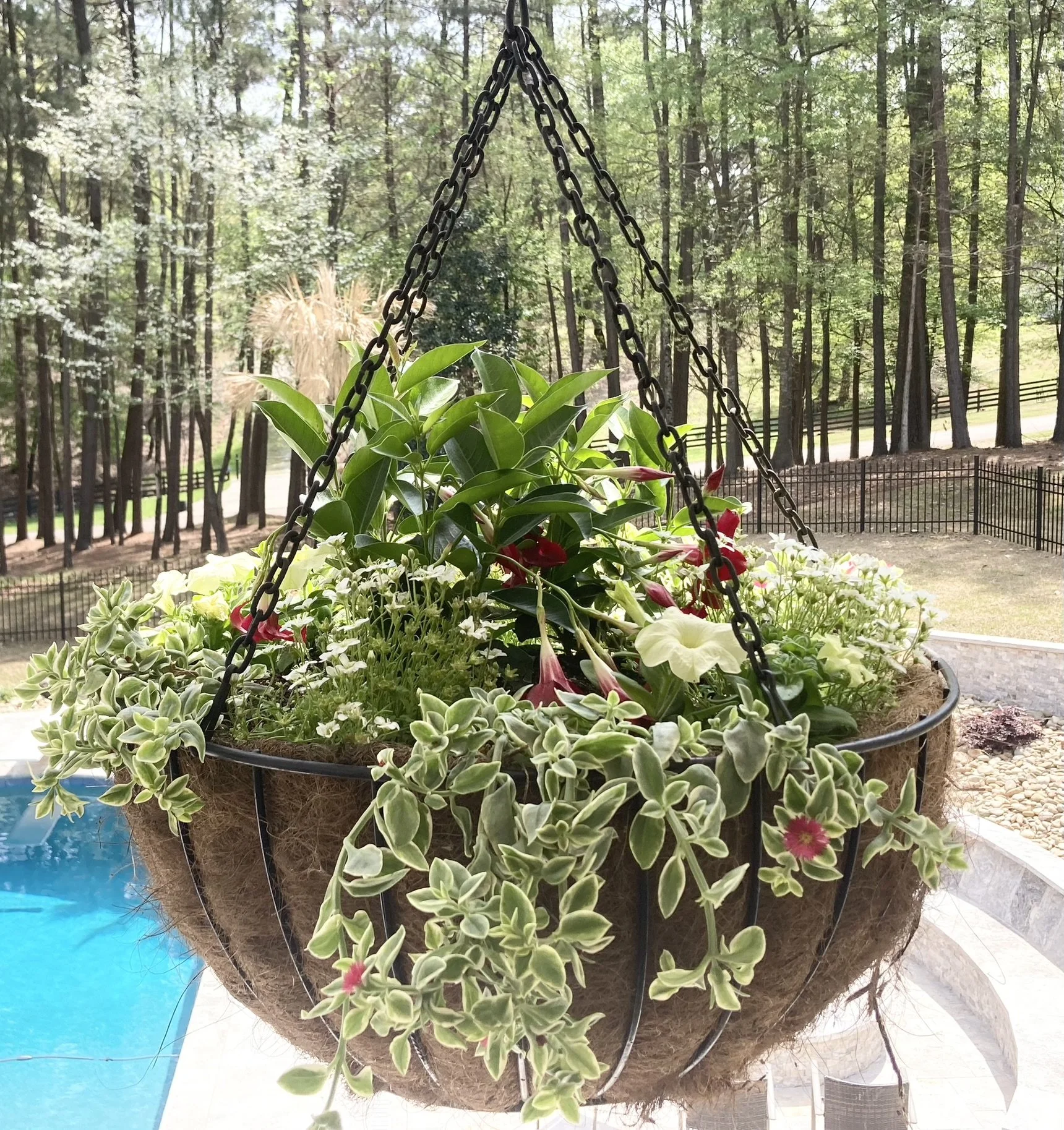 Residential Plantscape