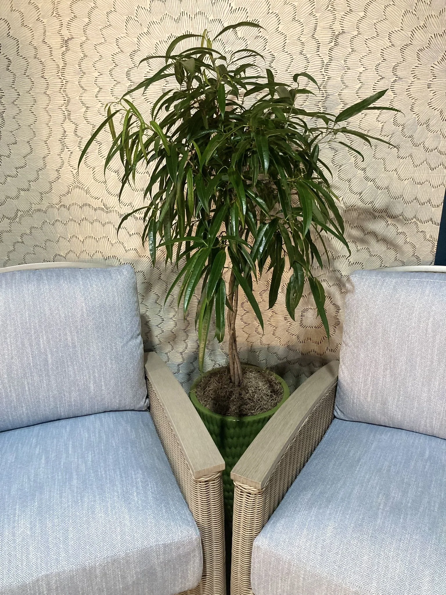 Mac and Morgan Home event