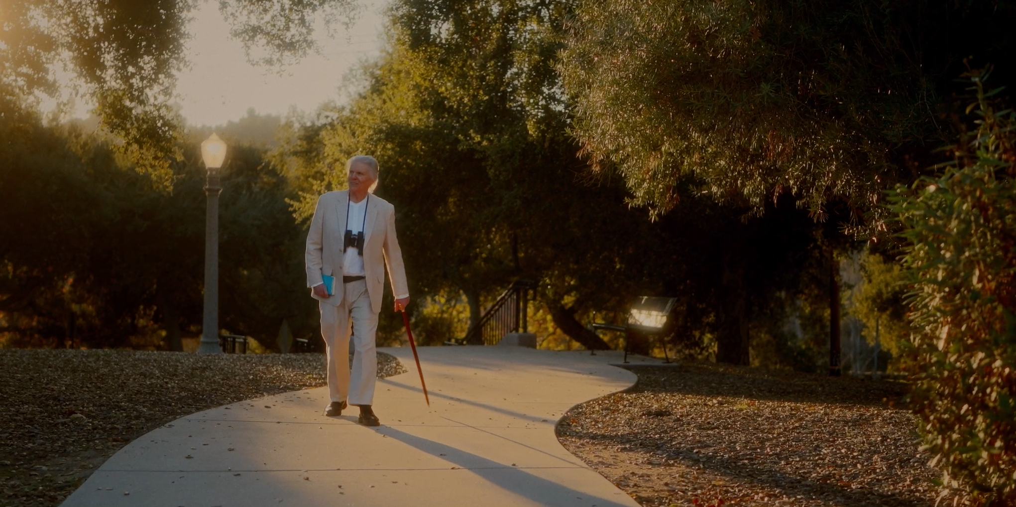 An elderly man wearing a white suit walking with a cane on a winding sidewalk in a park during late afternoon or early evening, with trees and a bench nearby.