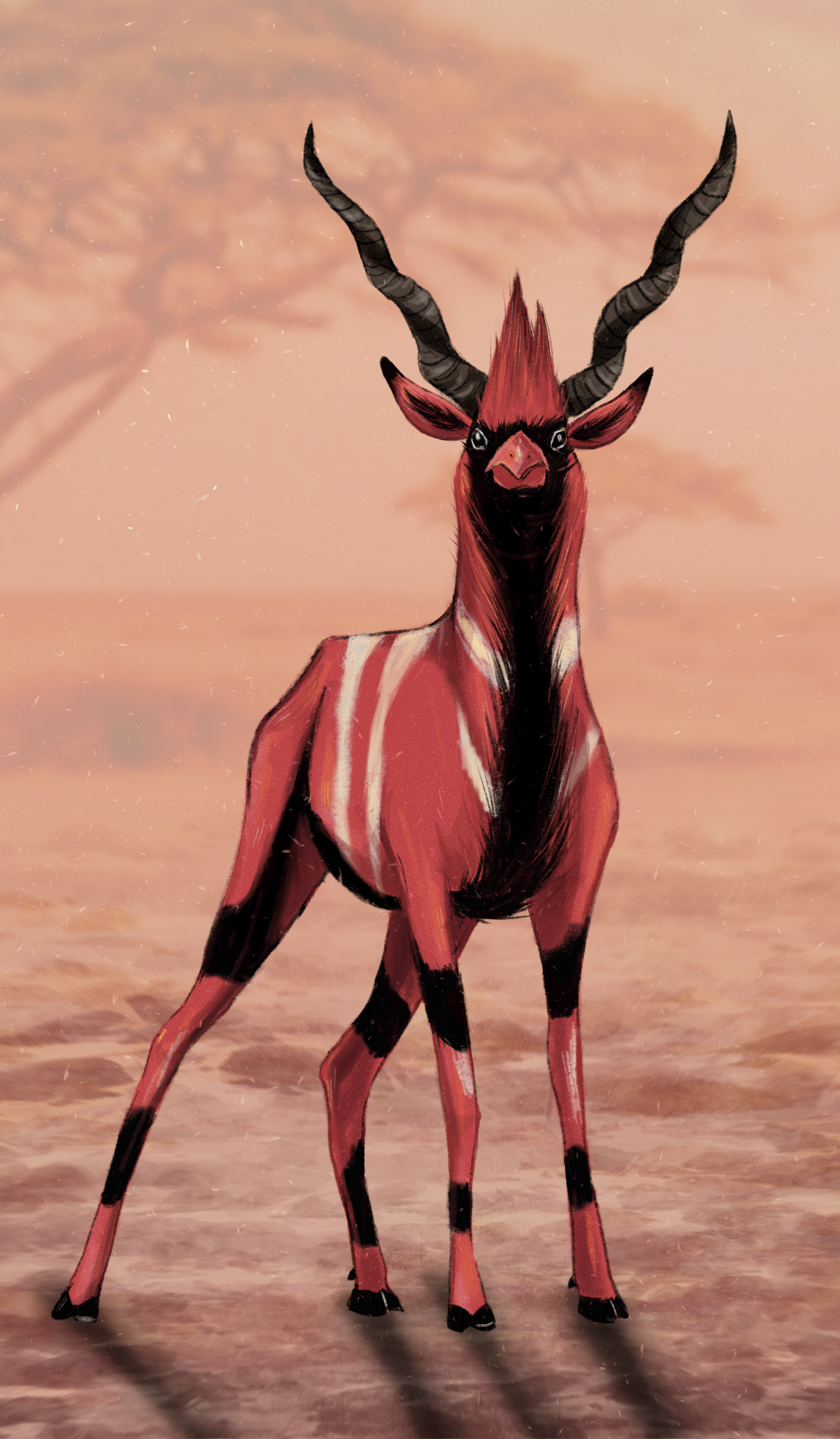 Cardiloppe.png