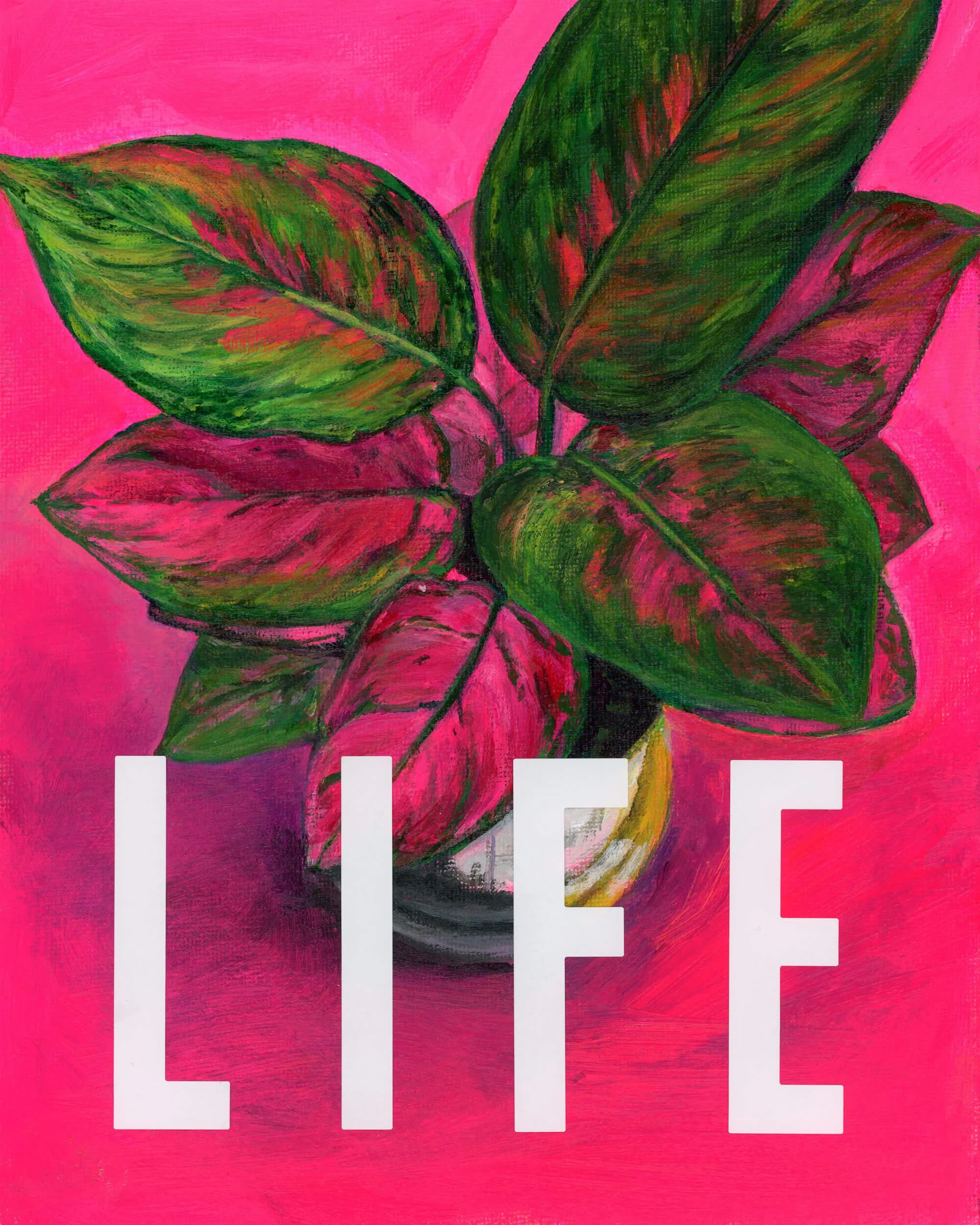 Plant Life, 8"x10" - 🔴 SOLD