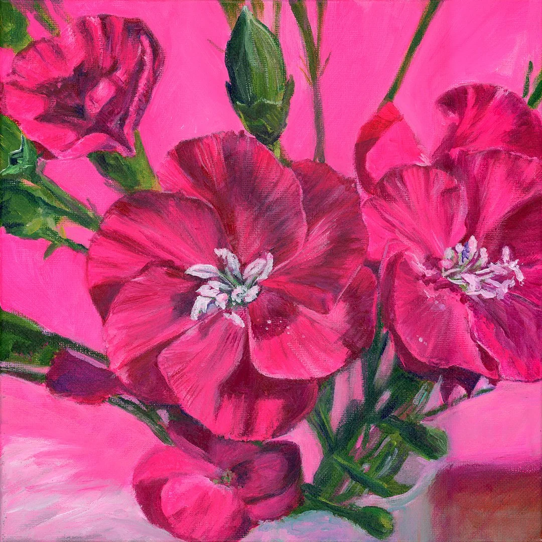 Pink Petal Closeup