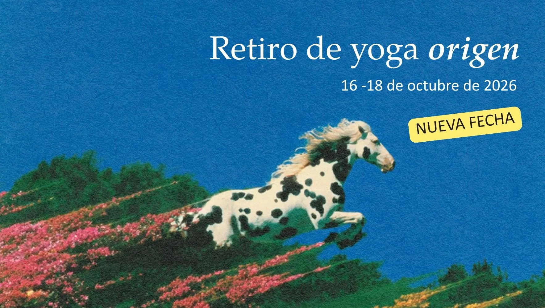 Banner retiro 2026.jpg