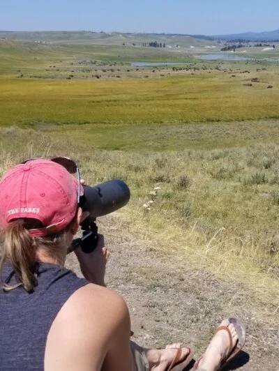 Yellowstone Series Part 2- Canyon Village