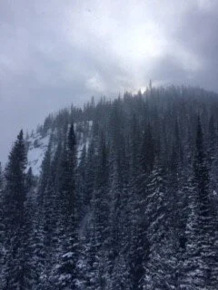 Snowshoeing in Rocky Mountain National Park