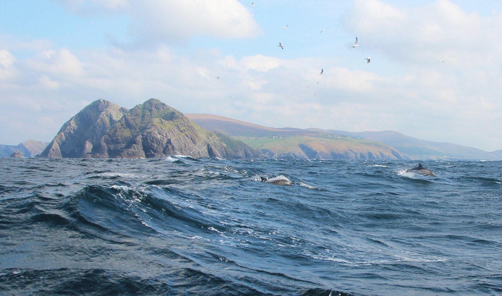 6 Day Adventure Tour of Ireland - Hikes, Wildlife, History - Common Dolphins - Ring of Kerry - Bray Head Valentia - Co Kerry