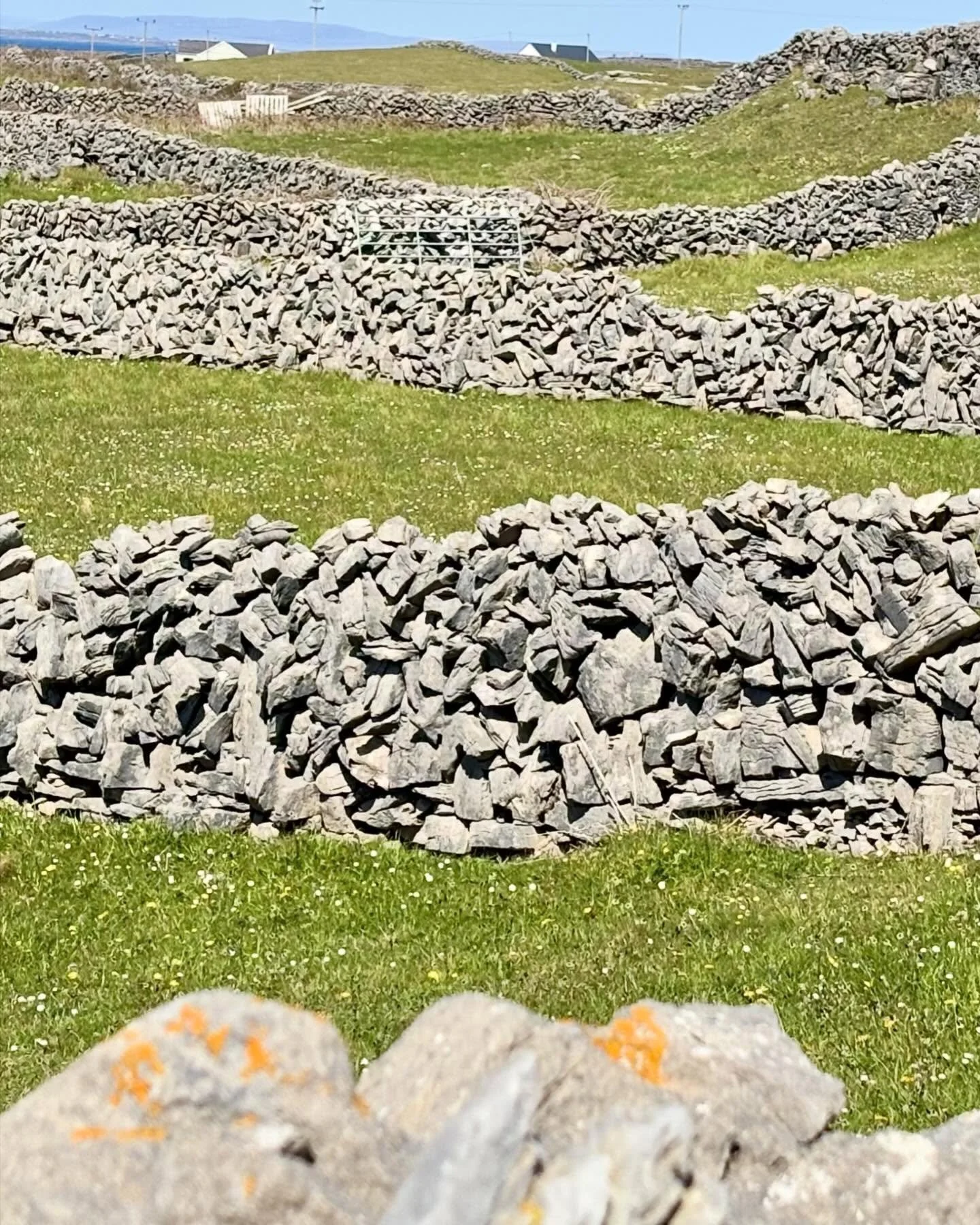 Stone walls - Inis Mor, Aran Islands. 6 Day West Adventure Tour of Ireland. #ireland #adventure #wallsofinstagram #stonewalls #aranislands #inism&oacute;r #walkingvacations #smallgrouptravel #offthebeatenpath #awaywiththefairies