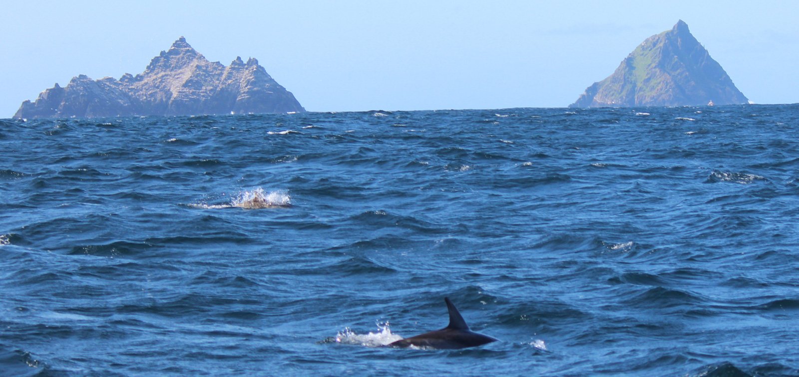 6 Day Adventure Tour of Ireland - Hikes, Wildlife, History - dolphins - Skellig Islands Co Kerry