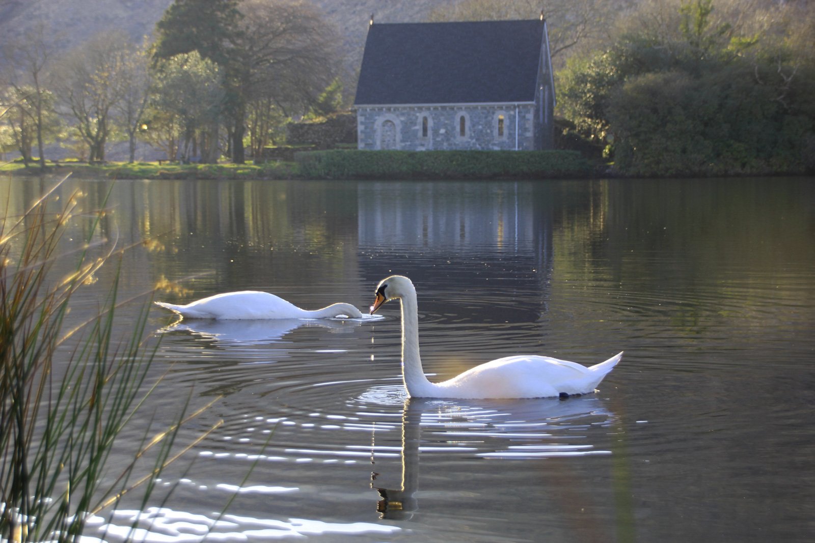 6 Day Adventure Tour of Ireland - Hikes, Wildlife, History - Swans - Gougane Barra Co Cork