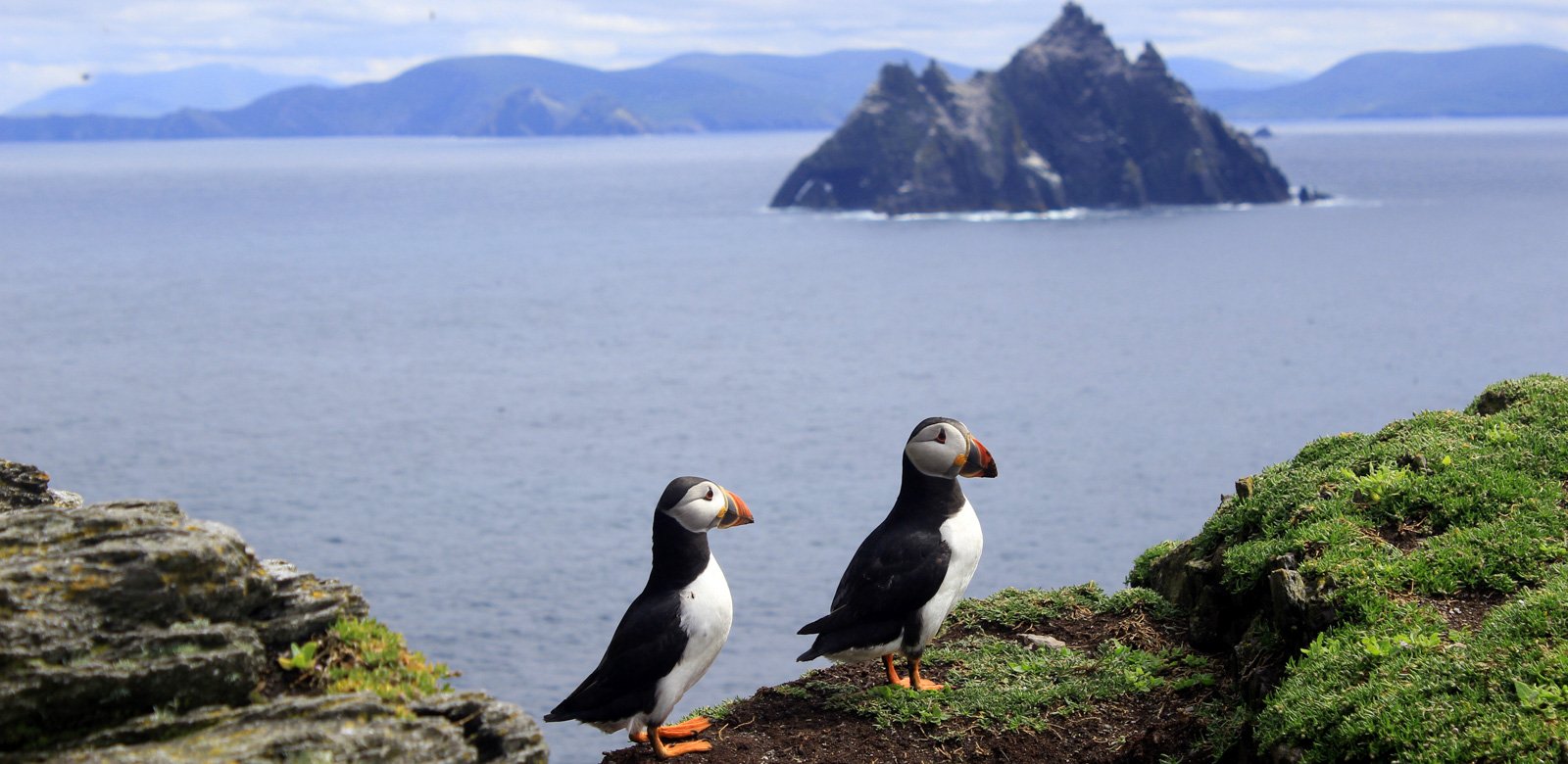 6 Day Adventure Tour of Ireland - Hikes, Wildlife, History - Gannets - Skellig Islands Co Kerry