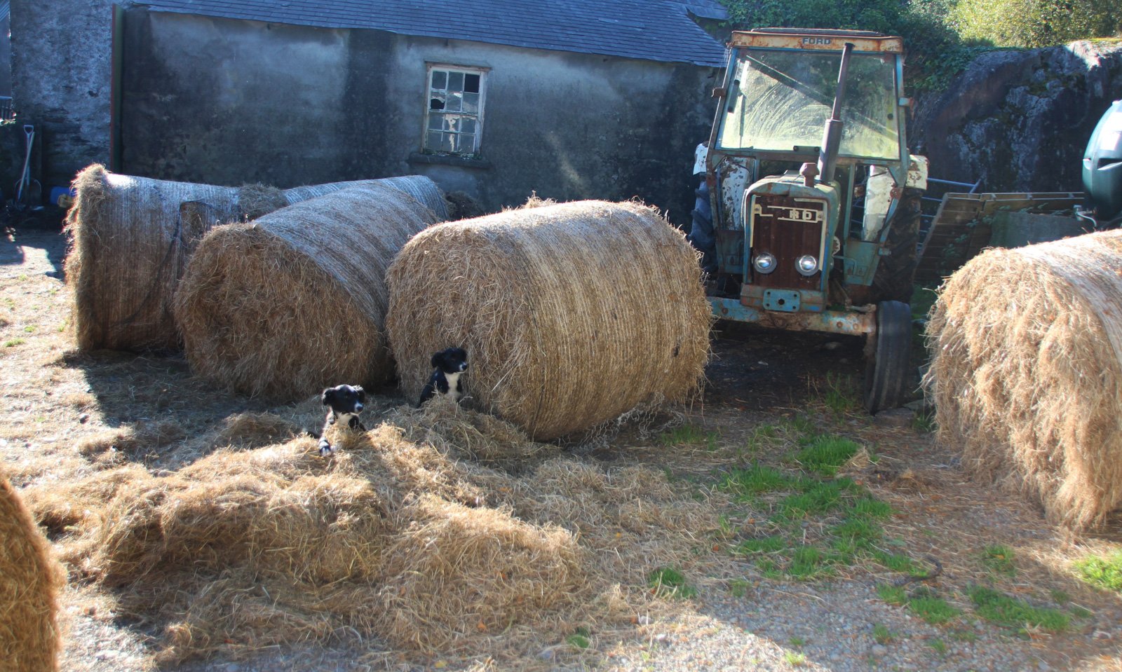 6 Day Small Group Adventure Tour of Ireland - 6 Day West Tour - Hikes, Wildlife, History. Connemara - Co Galway