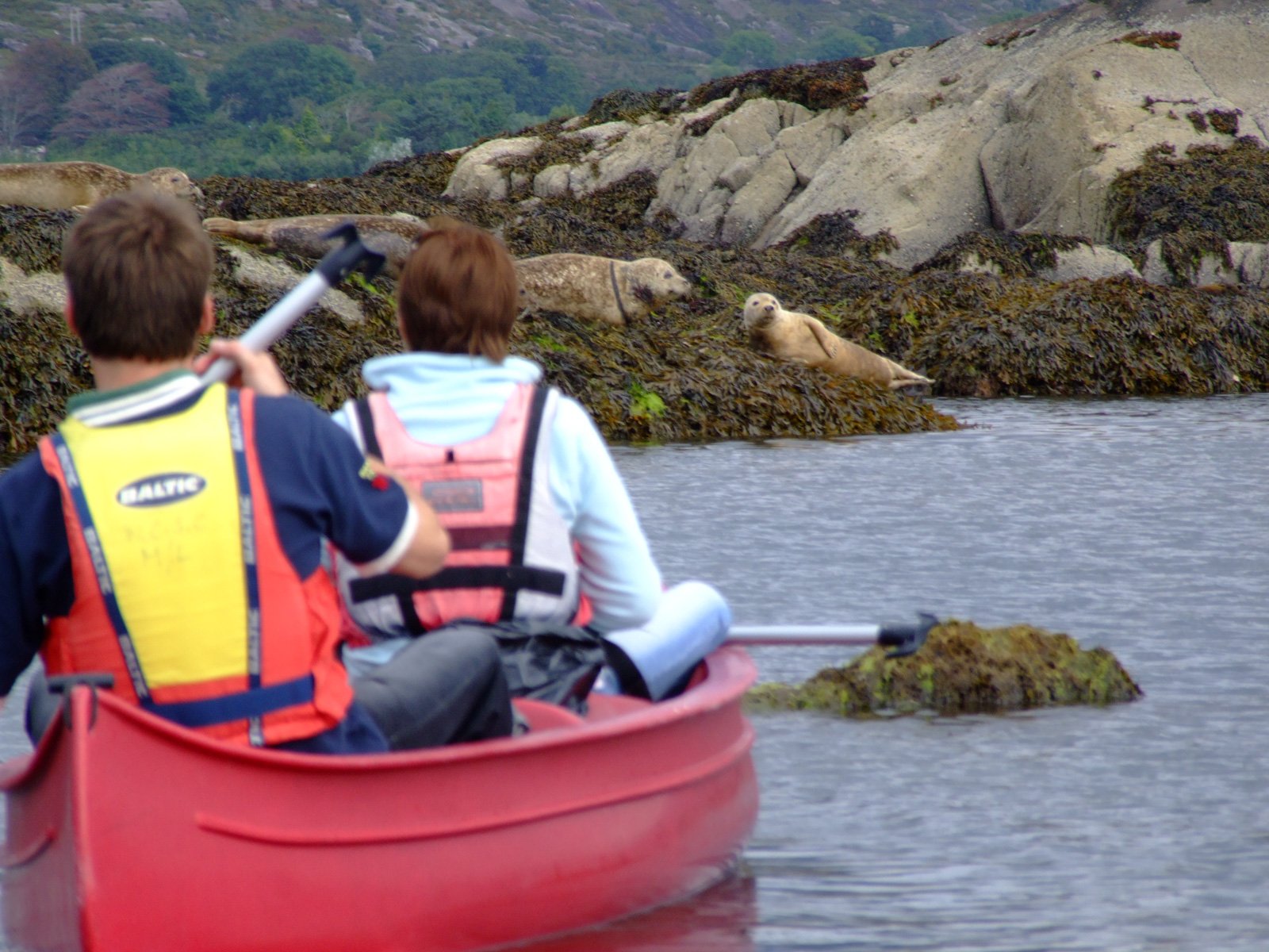 6 Day Small Group Adventure Tour of Ireland - Kayaking - Adrigole - West Cork Co Cork