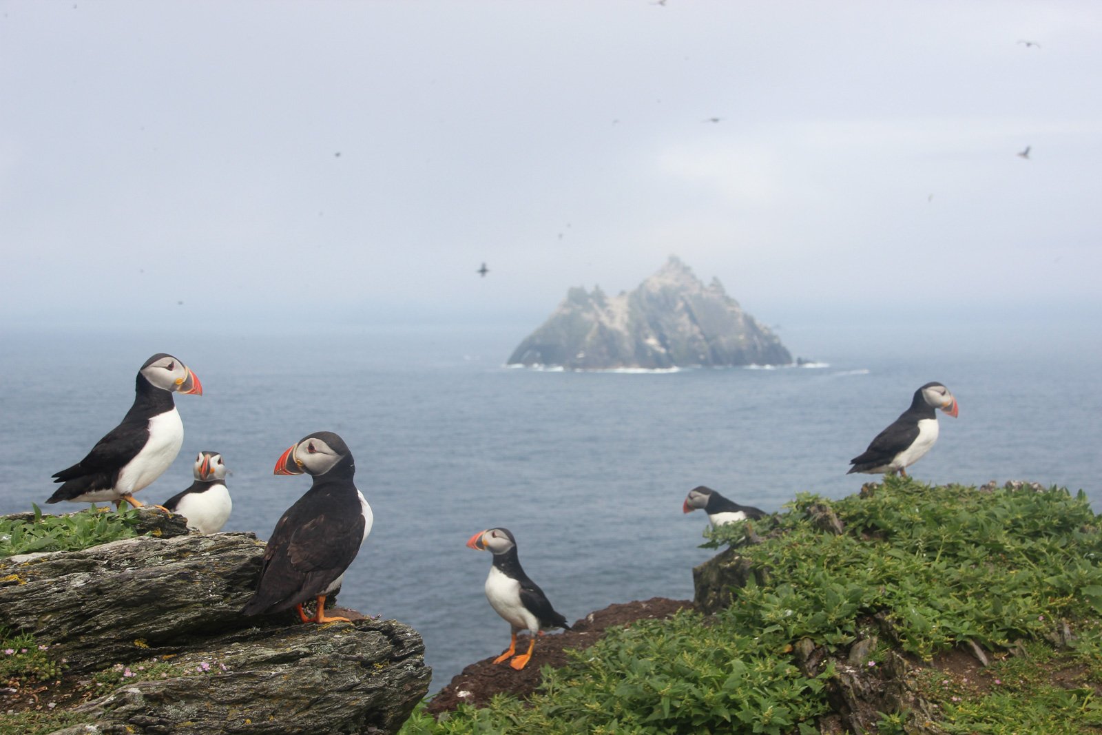 6 Day Adventure Tour of Ireland - Hikes, Wildlife, History - Puffins - Skellig Islands - Co Kerry