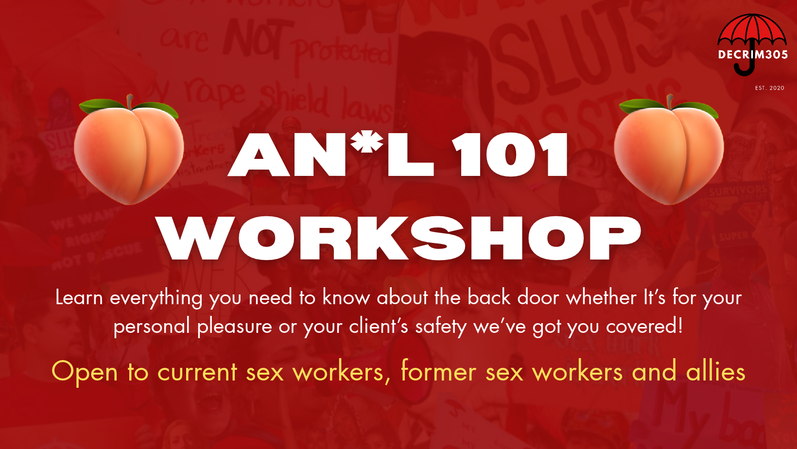 An*l 101 Workshop