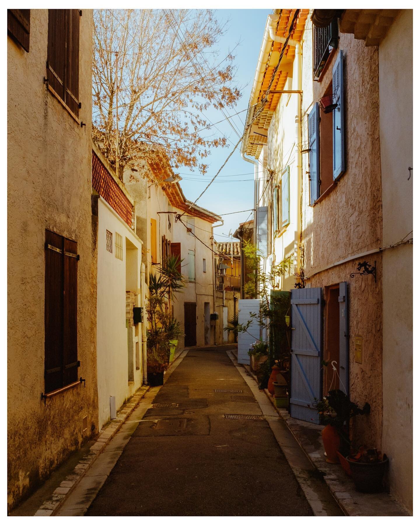 les milles // winter 2019