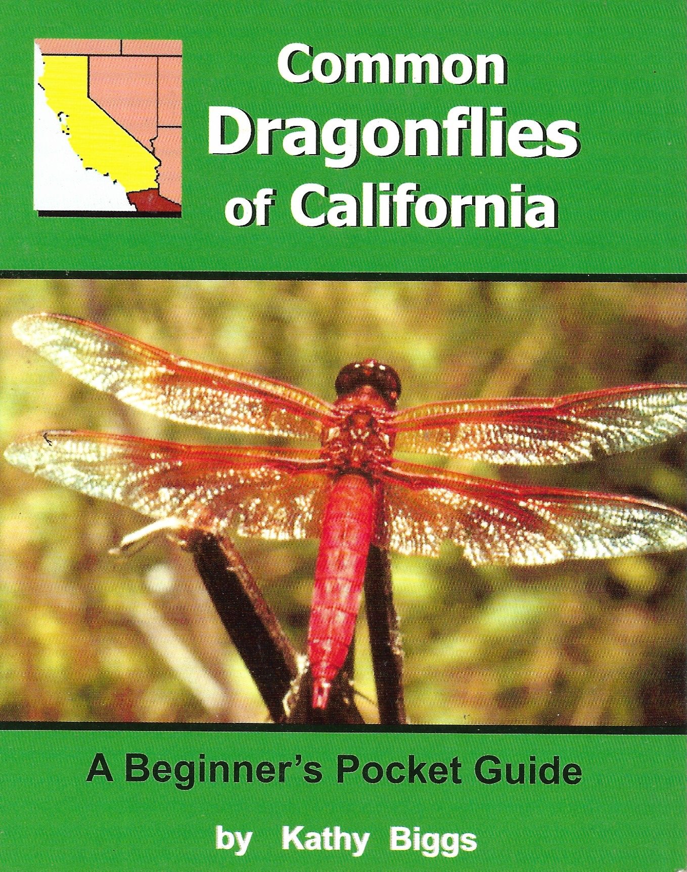 dragonflies.jpeg