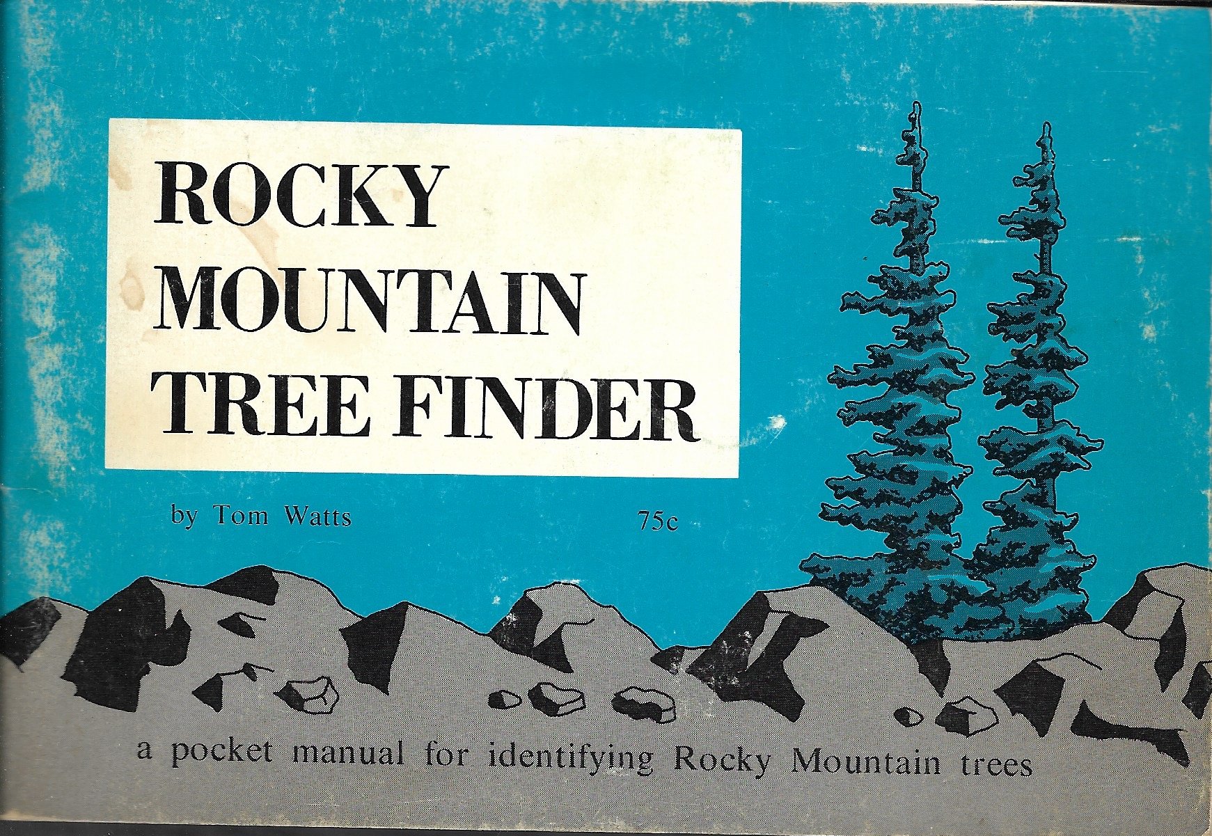 rocky.jpeg