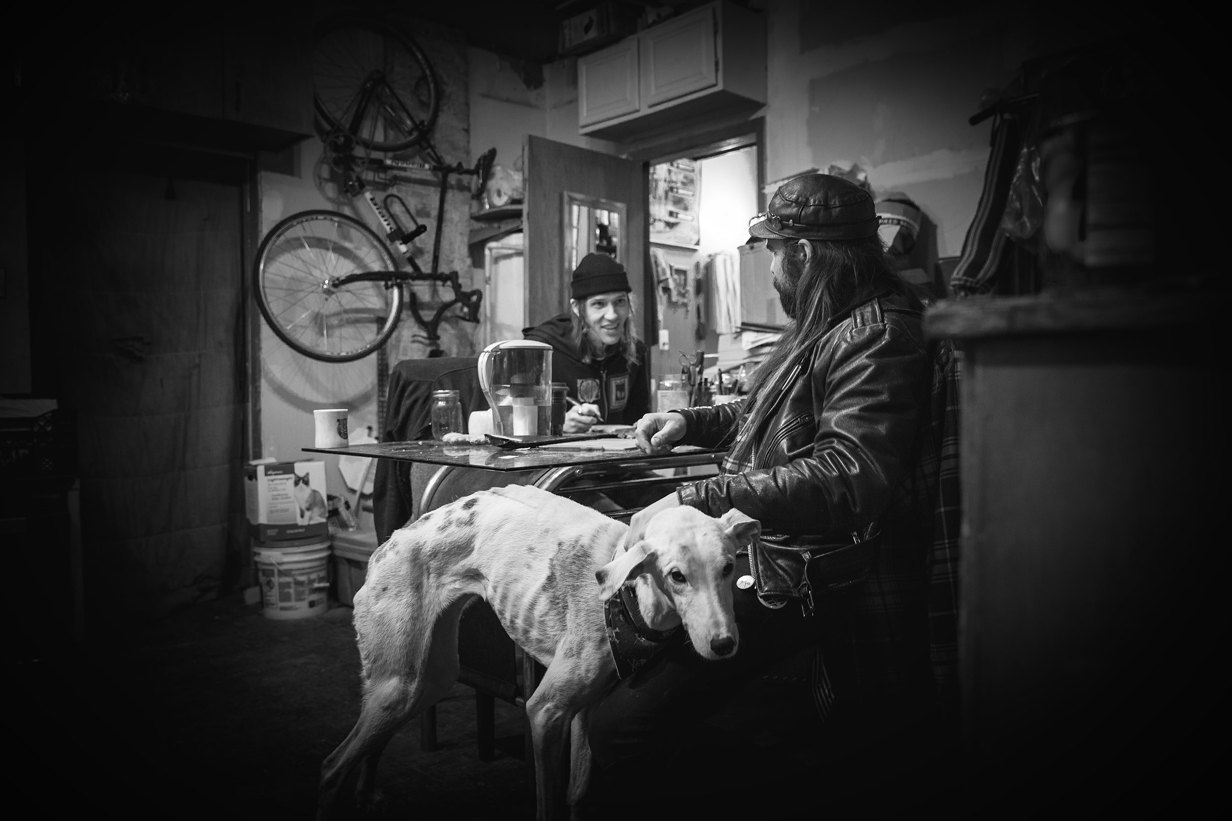 DogKitchen.jpg