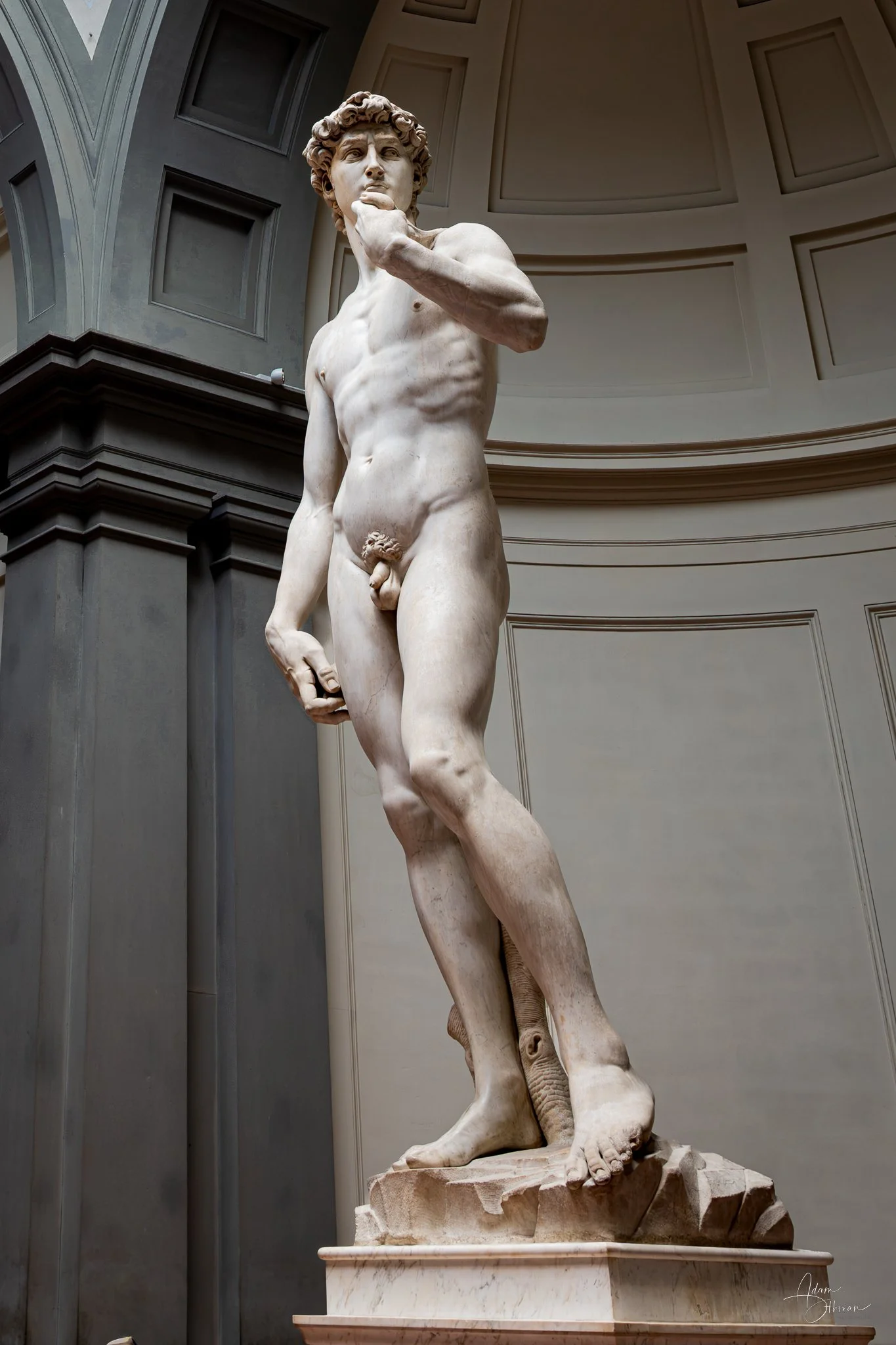 Florence David -3.jpg