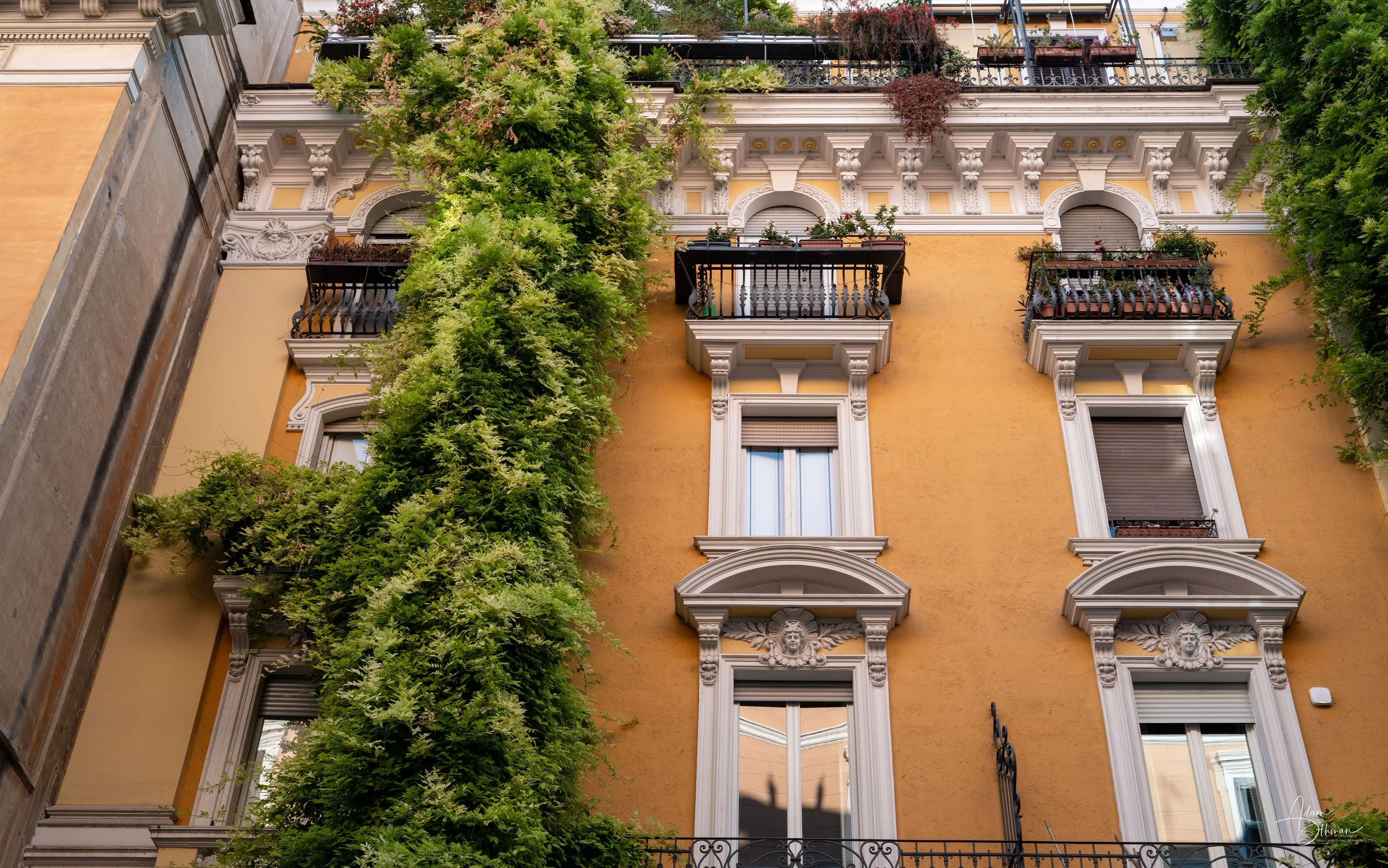 Rome-7.jpg
