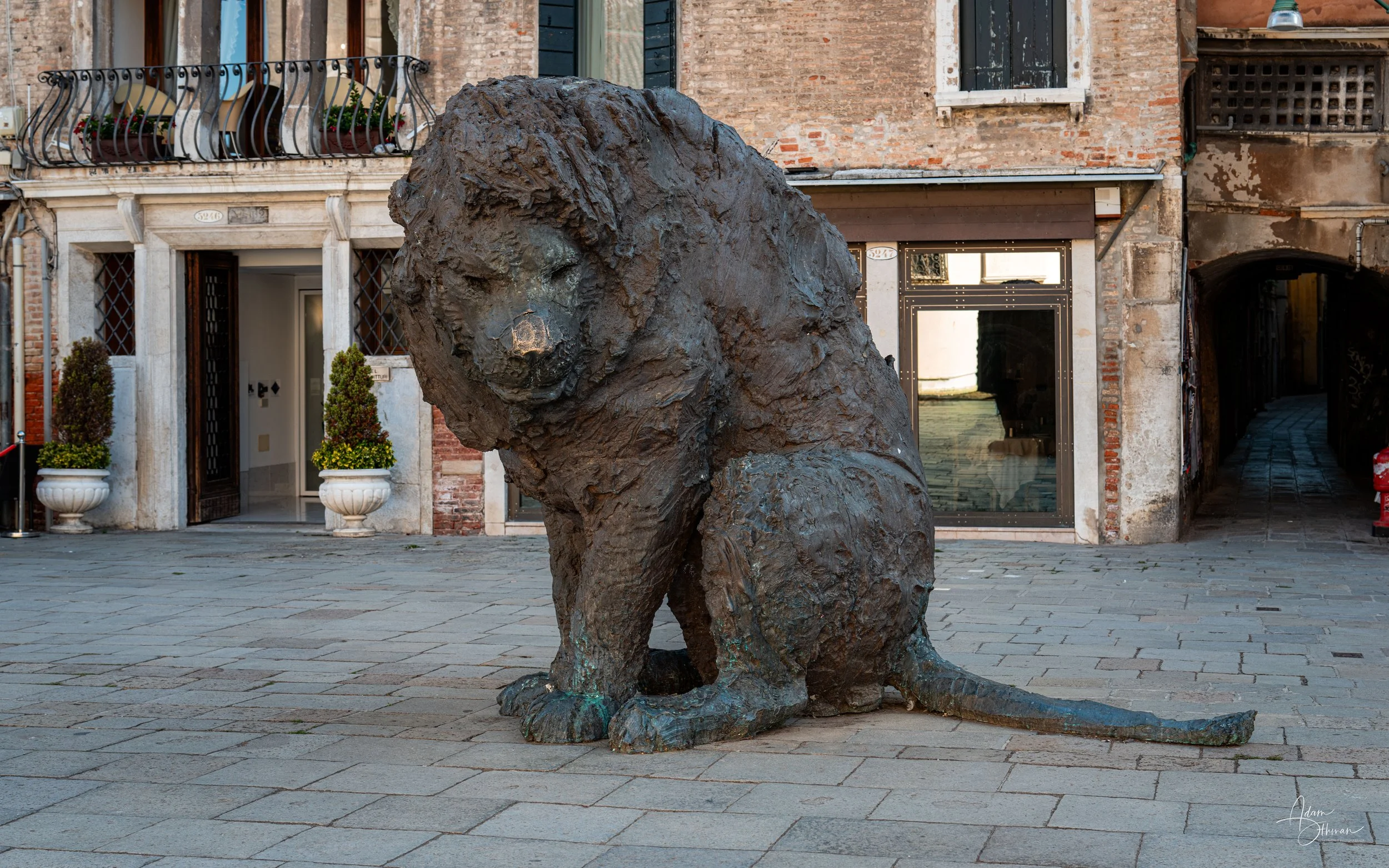 Venice-7.jpg