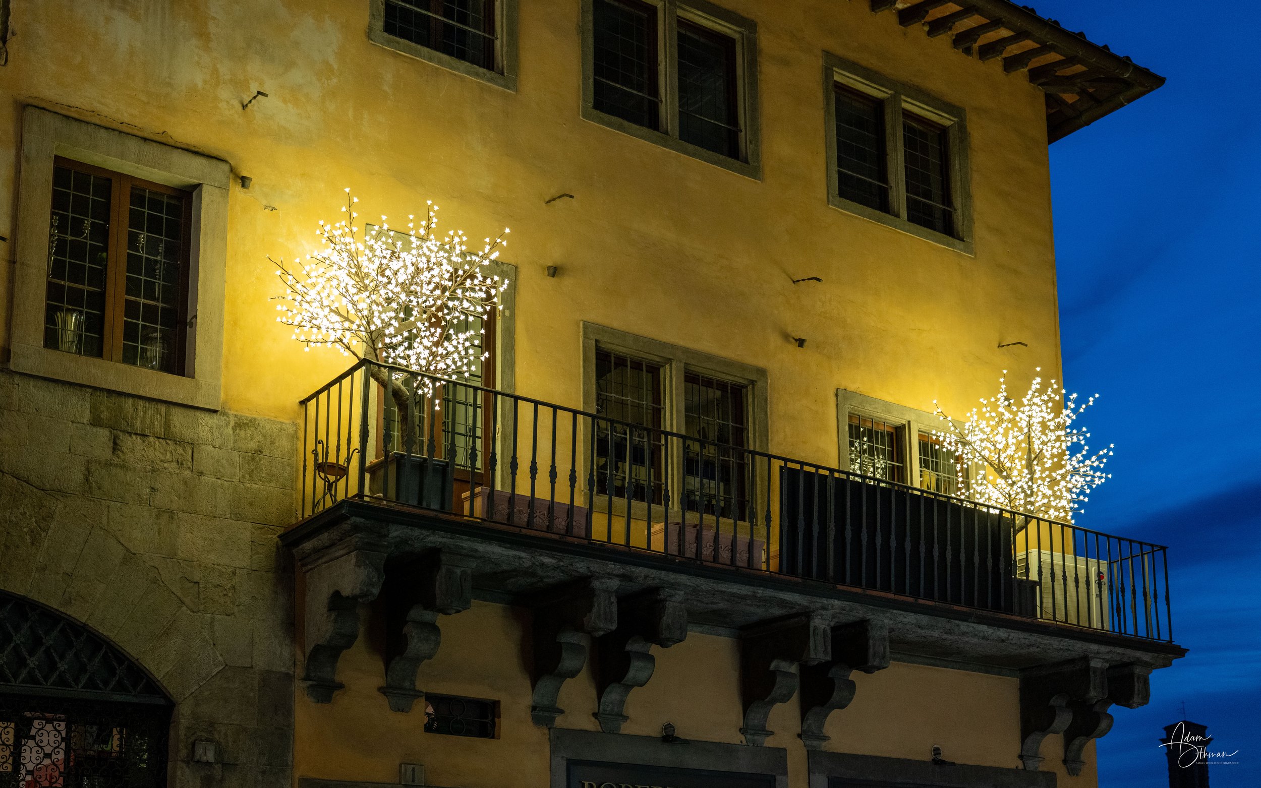 Florence-27.jpg