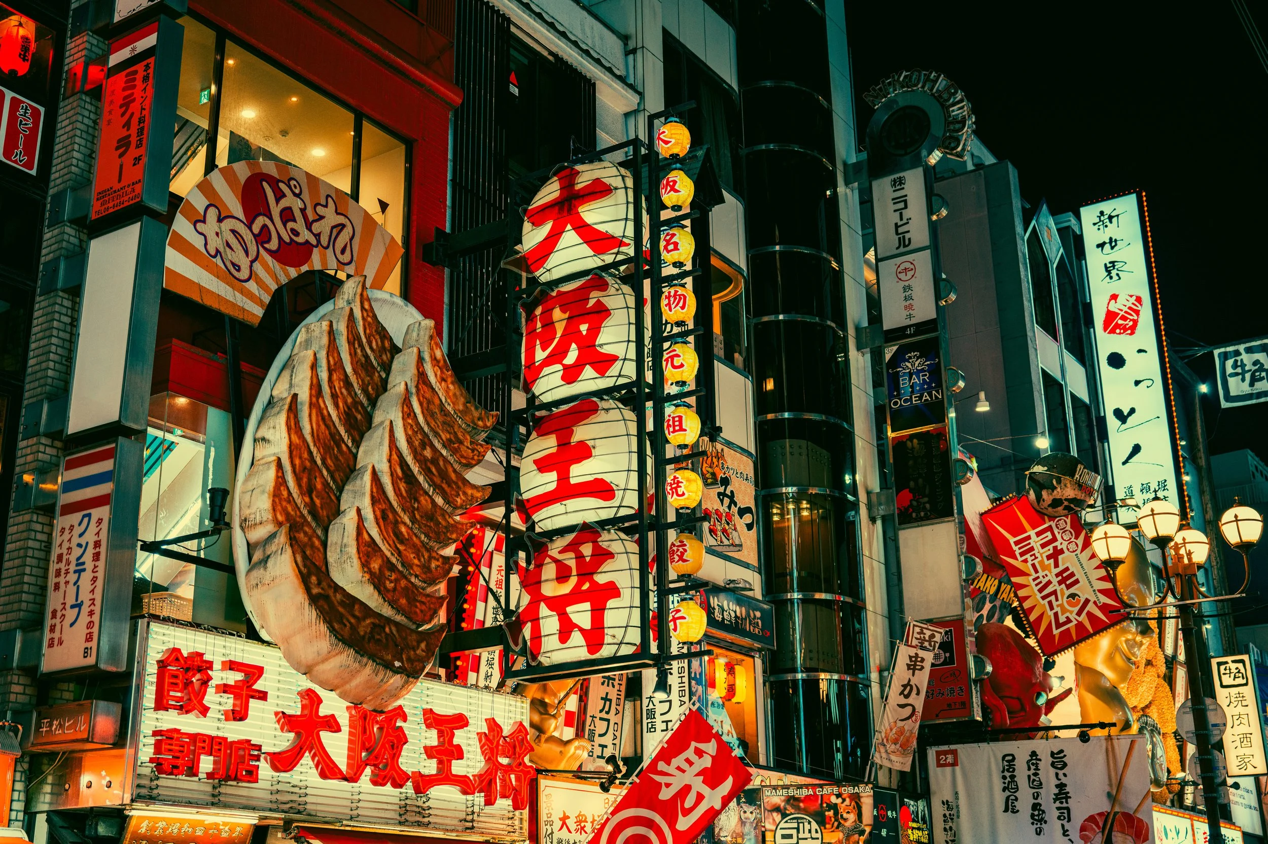Osaka Nights 6.jpg