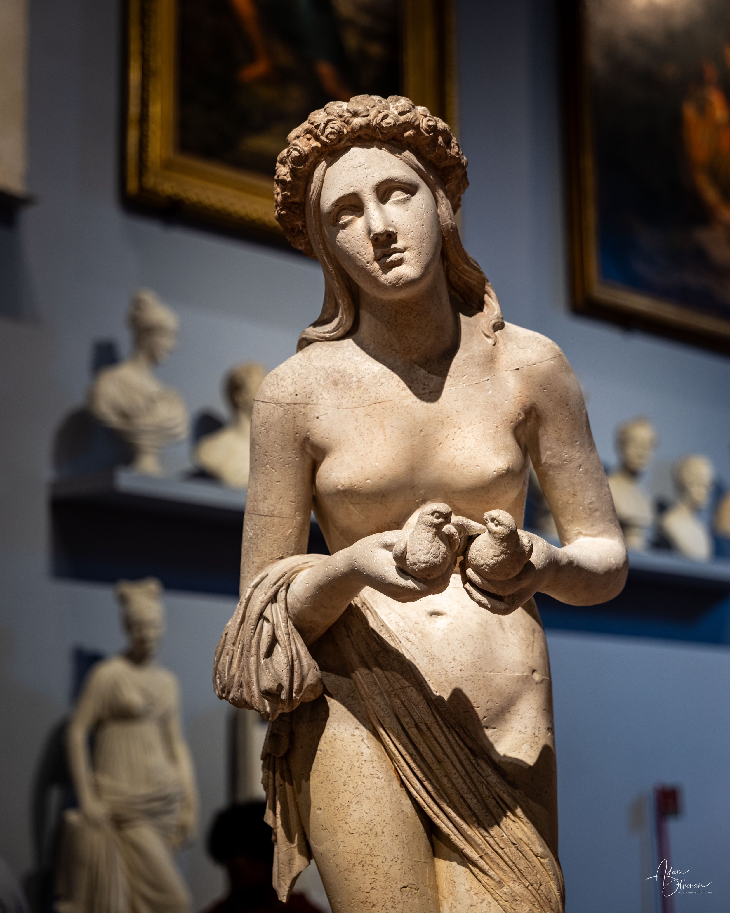 Florence-45.jpg