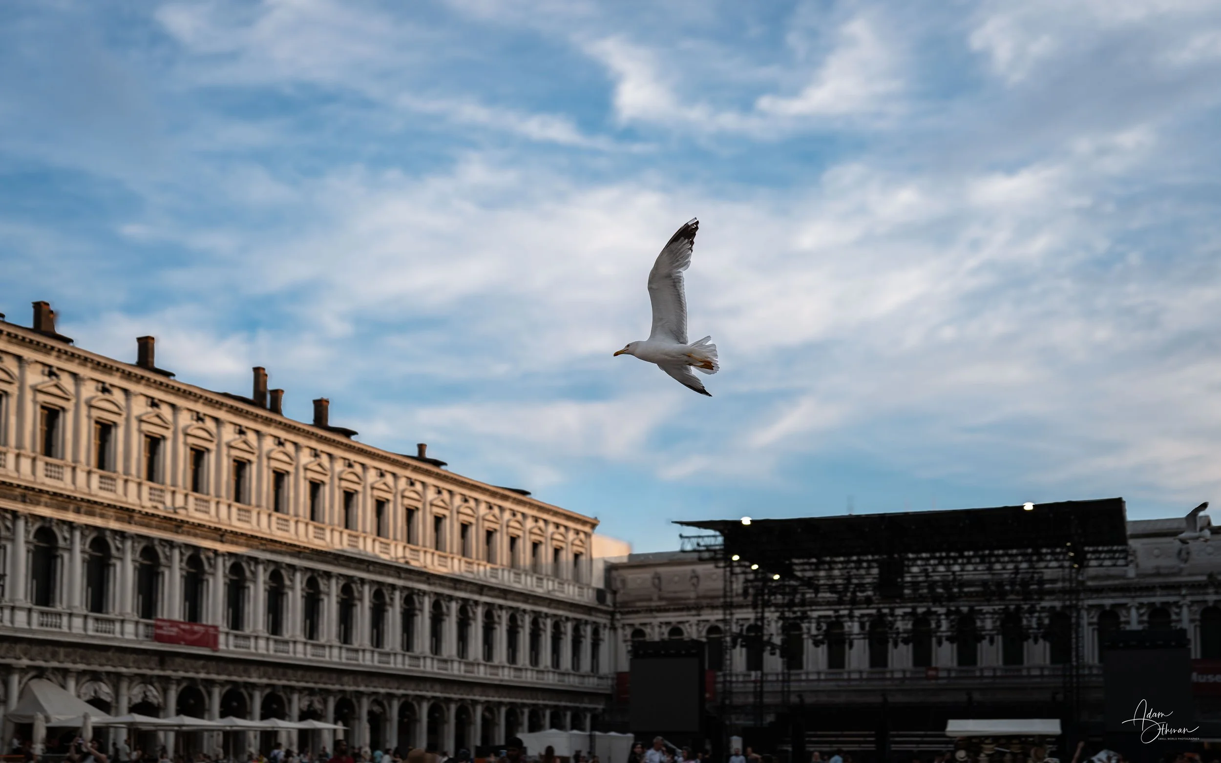 Venice-2.jpg