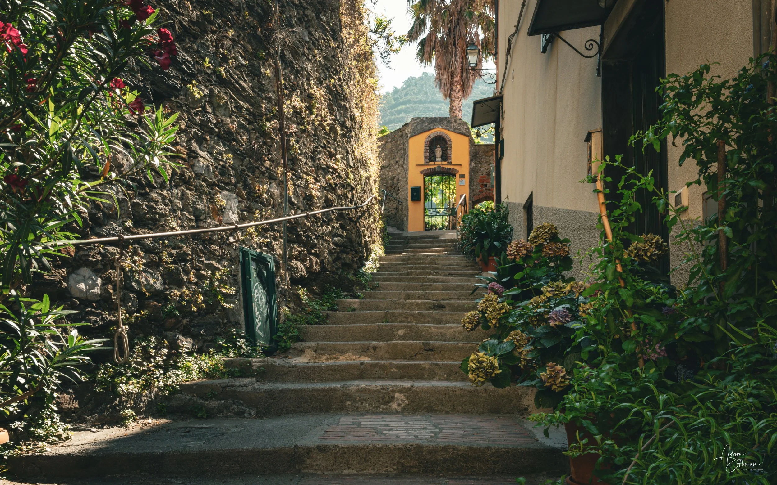 Cinque Terre-26.jpg
