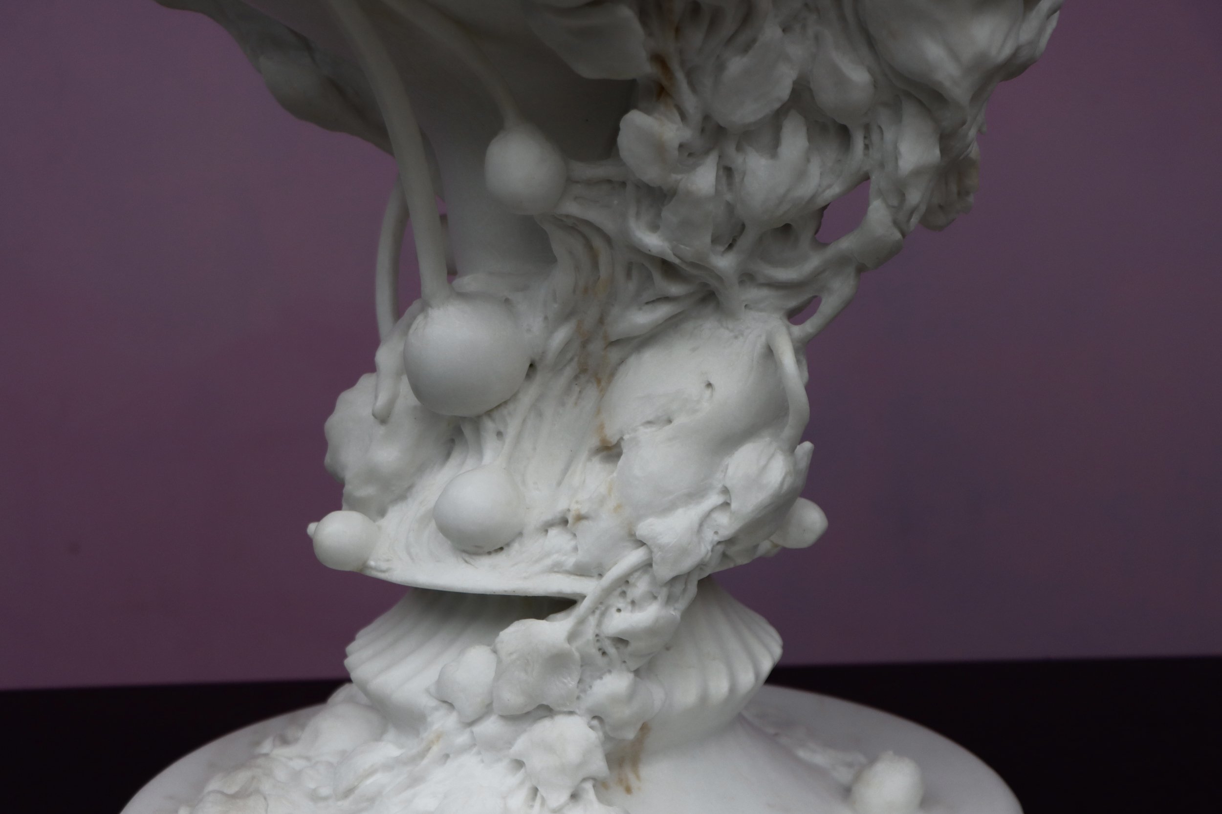 The Nutations Embrace-4.jpg