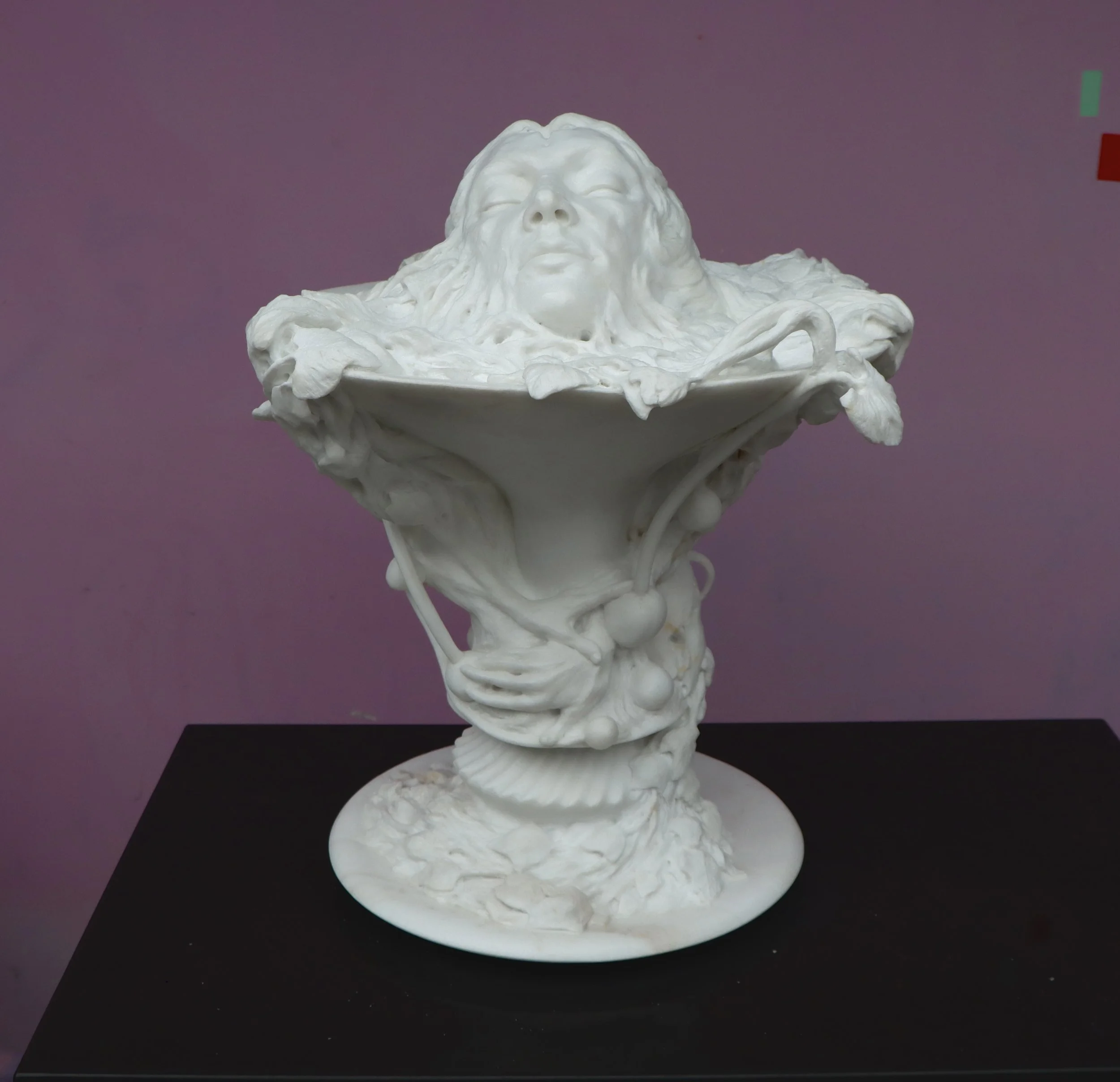 The Nutations Embrace-1.jpg