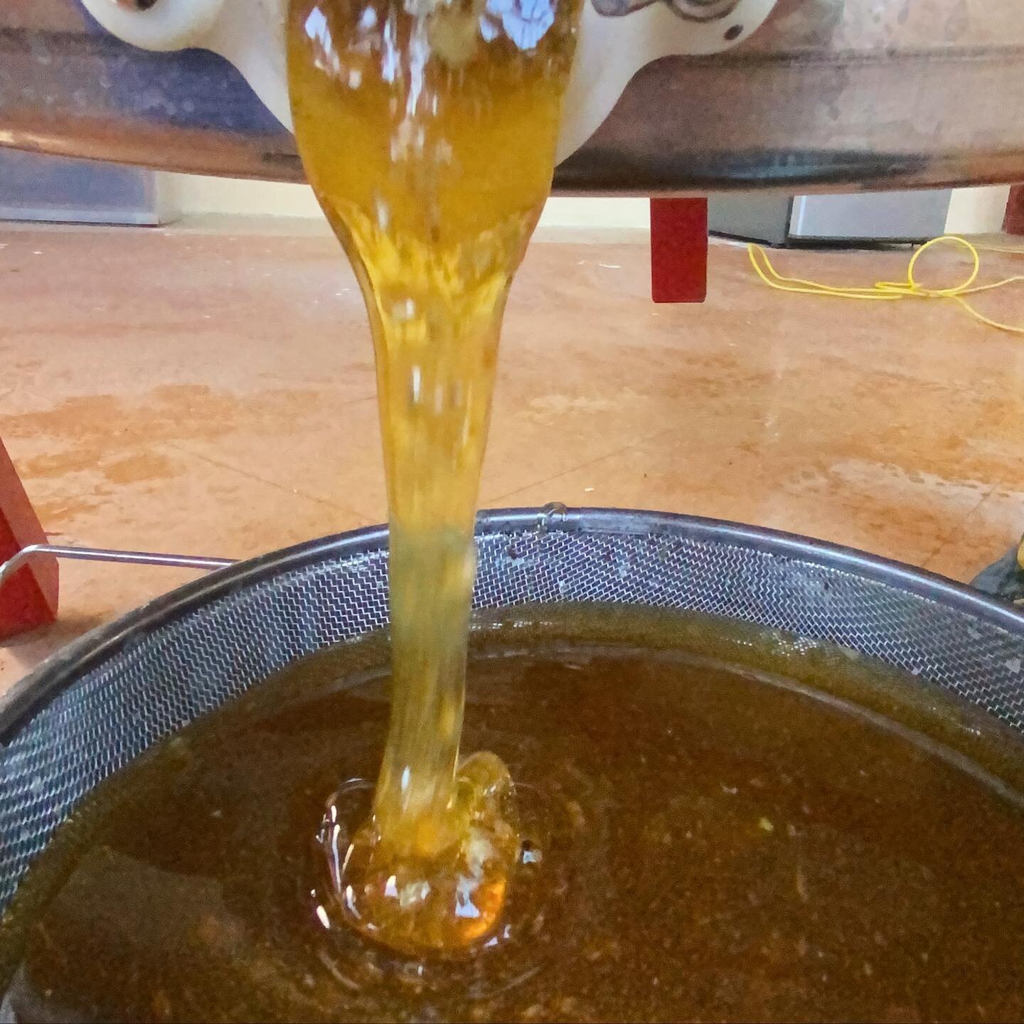 Pura miel 🐝

#beekeeping #bees #honey #queenbee #apiculture #bee #science #apicultura #apicultor #cera #mel #apiary #api #honeybees #abejas #abejareina #apismellifera #beehappy #lovebees #apismellifera #apiculture #miel #mieldeabeja