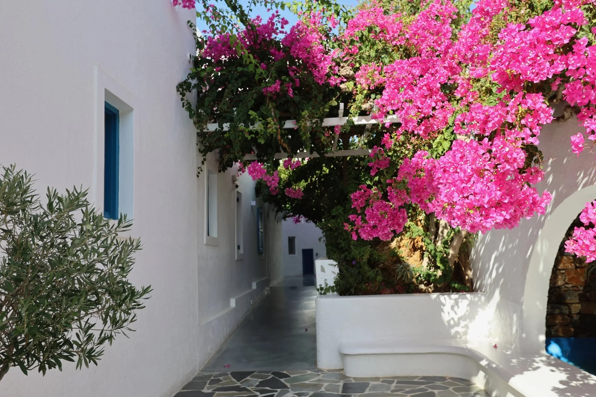 SOMATIKA handstand retreat