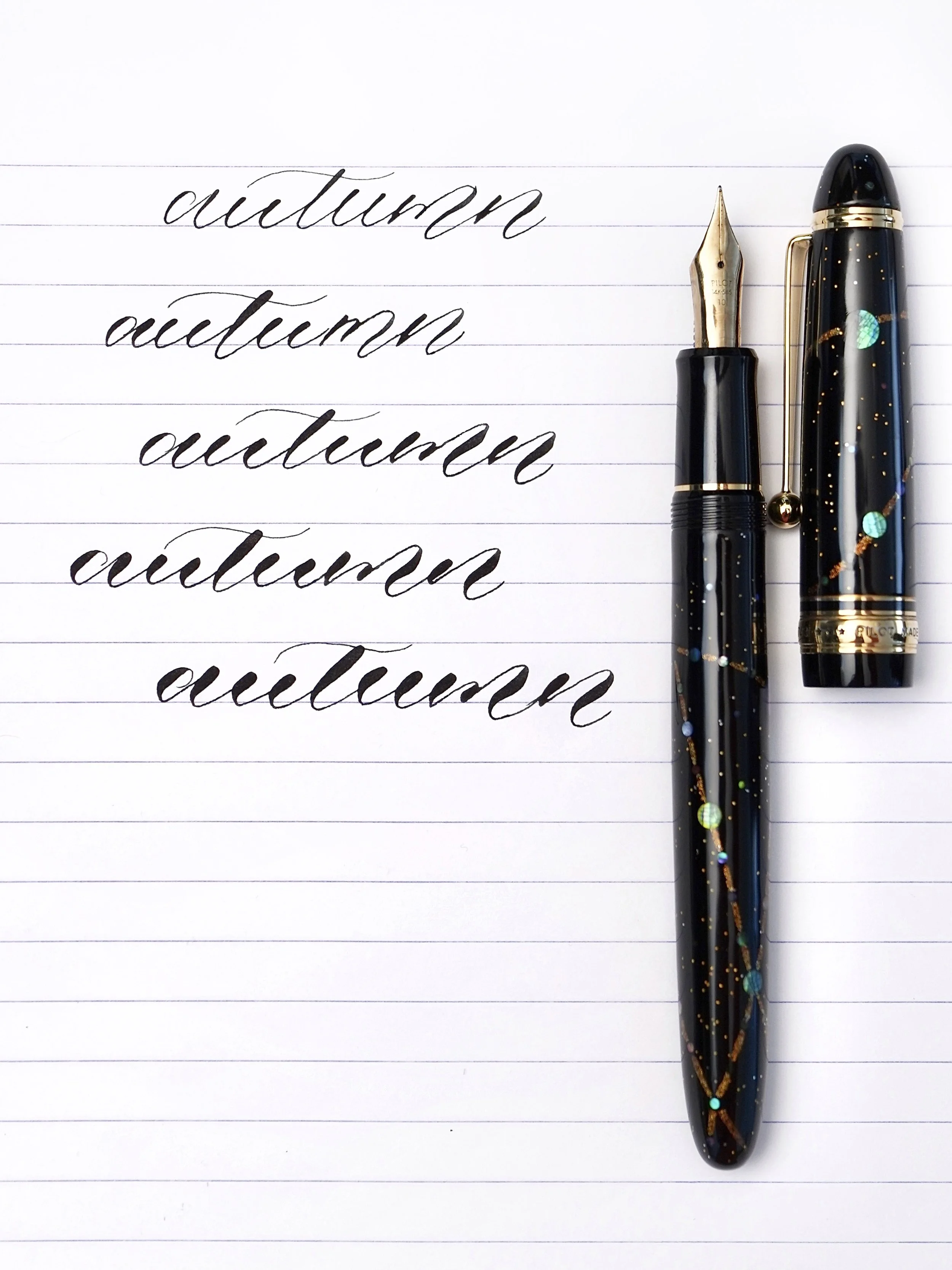 Pen Revolution Best Flexible Nib Fountain Pen FPR #6 Chrome EF