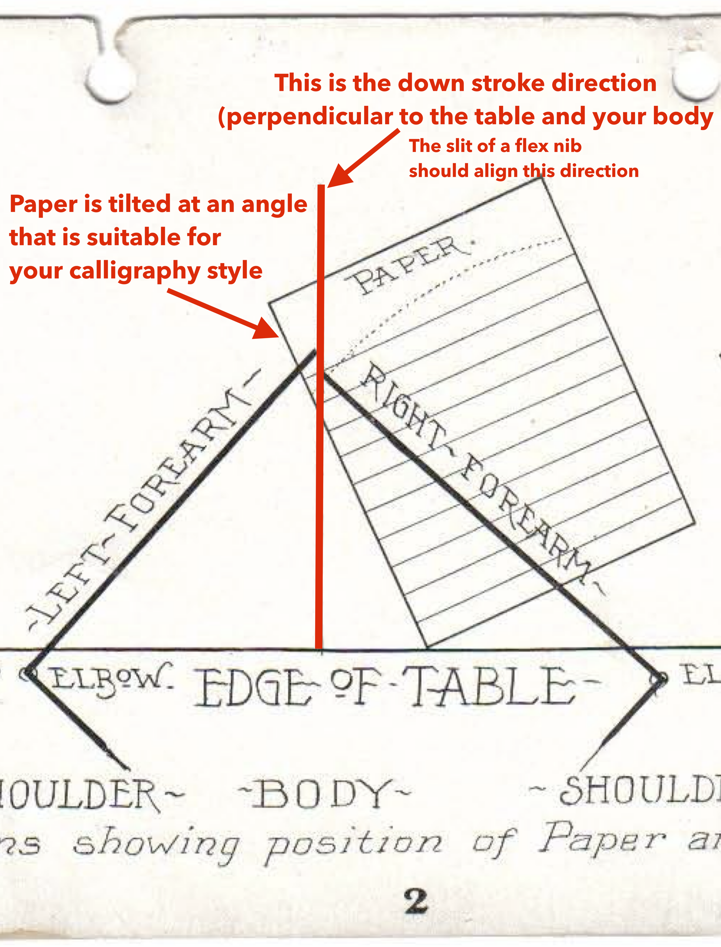 Proper posture for flex nib fountain pen calligraphy