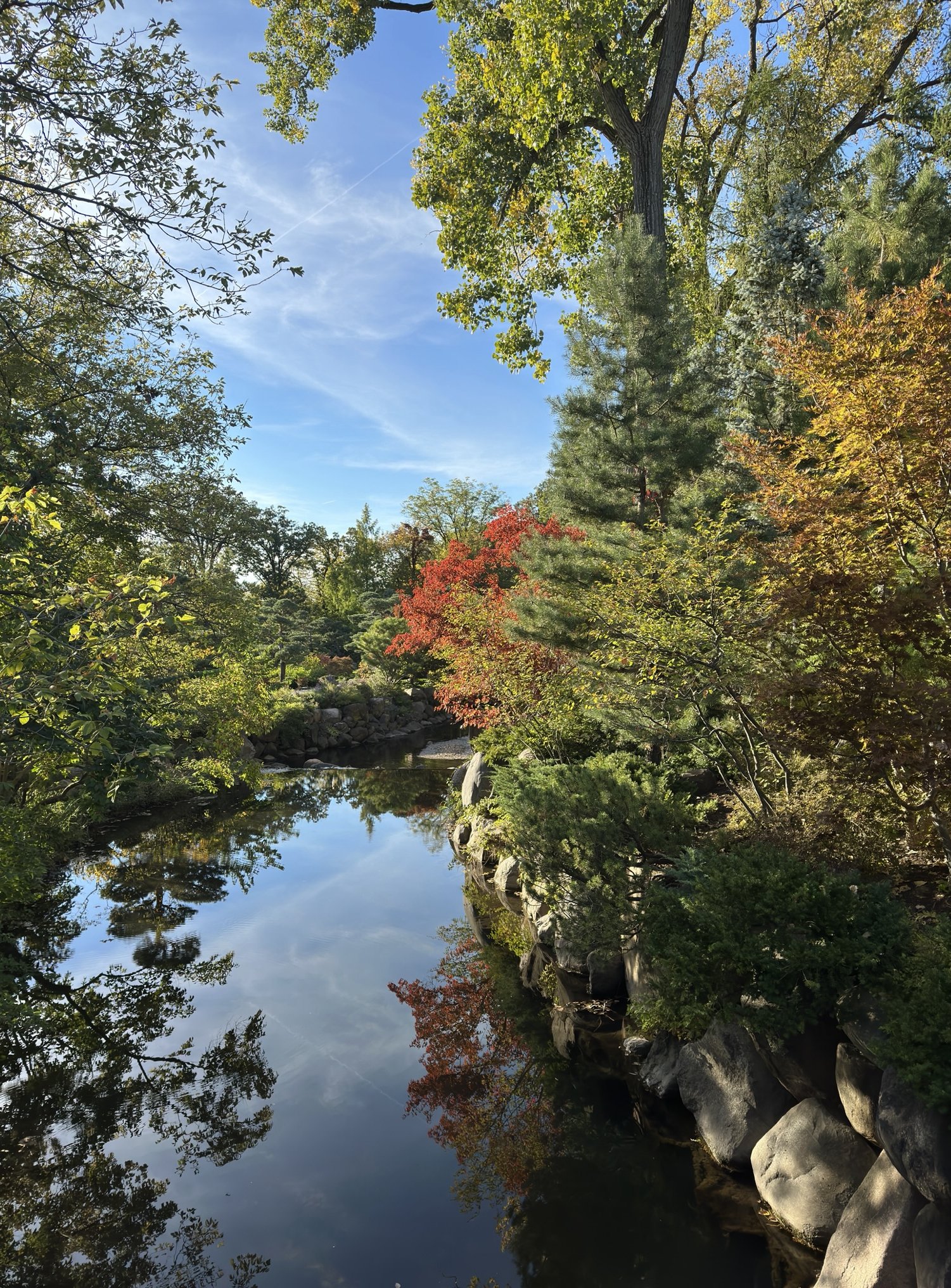 18C091BD-B691-475B-B98B-6604C933D142.jpeg