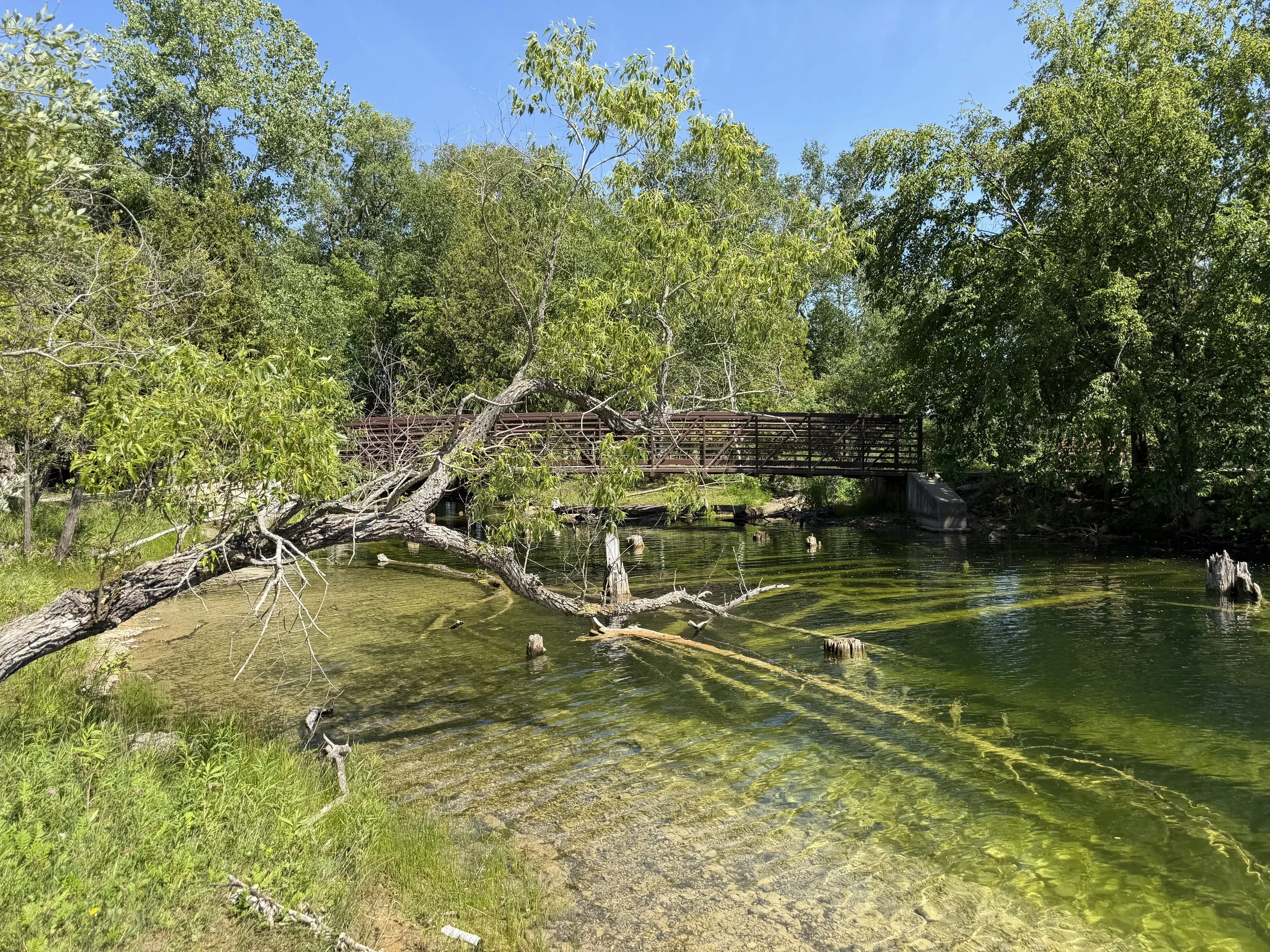 IMG_0325.jpeg