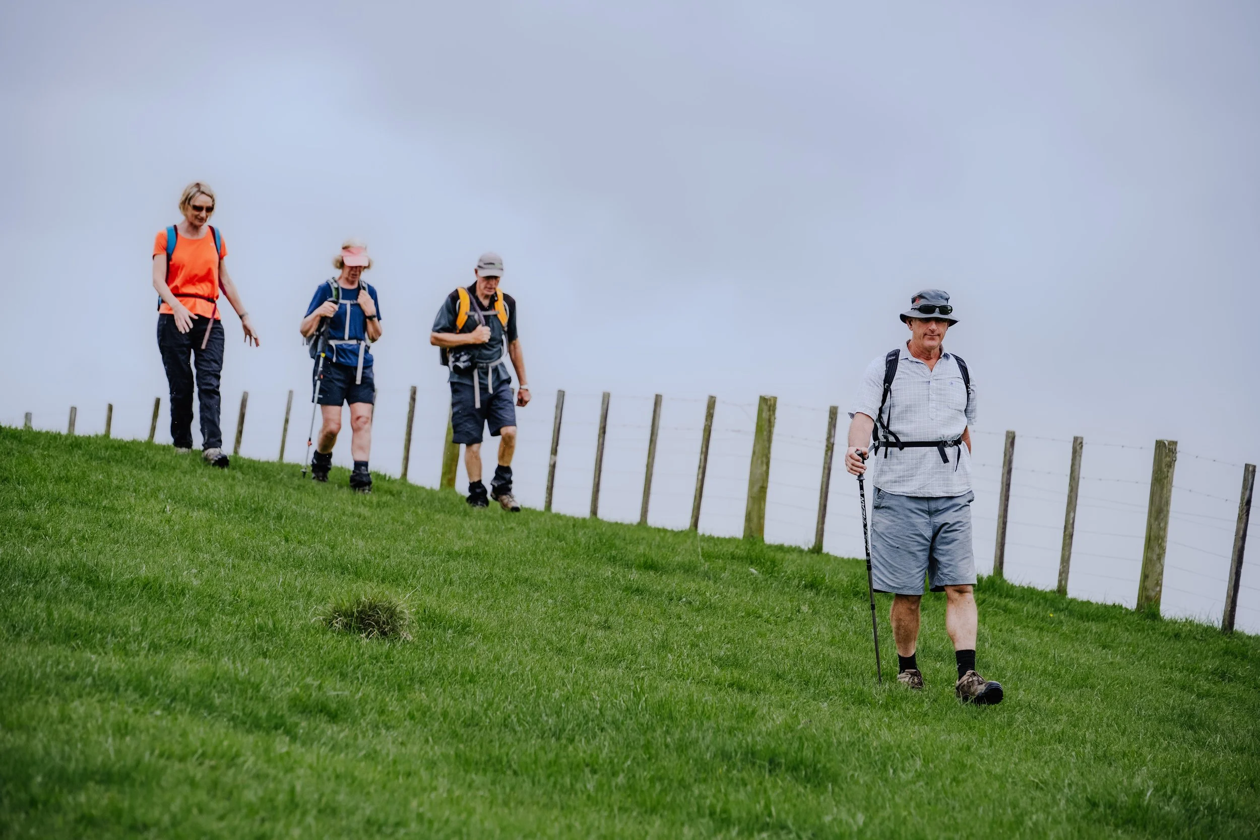 Matahuru Valley Walk-310.jpg