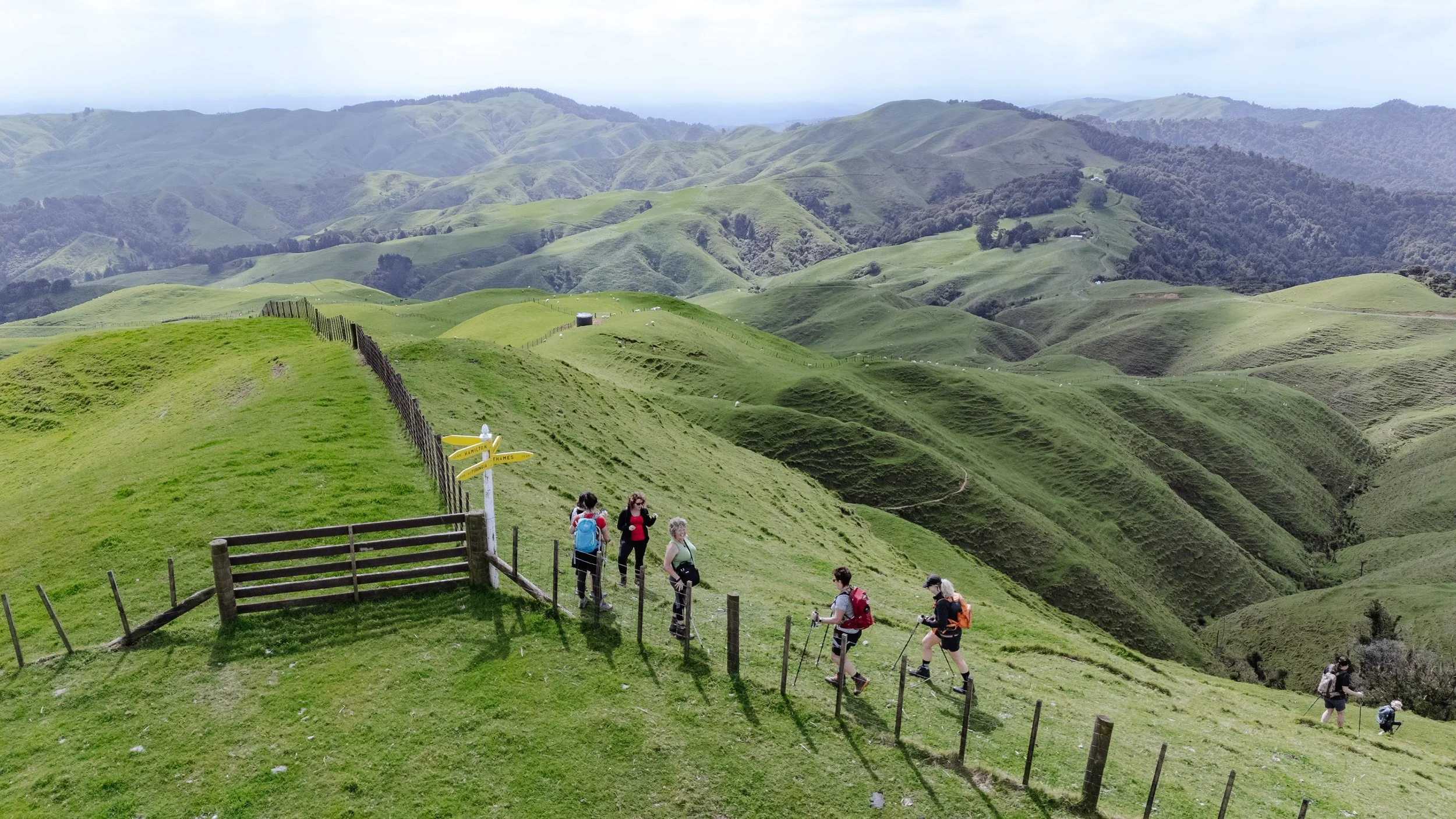 Matahuru Valley Walk-1222.jpg