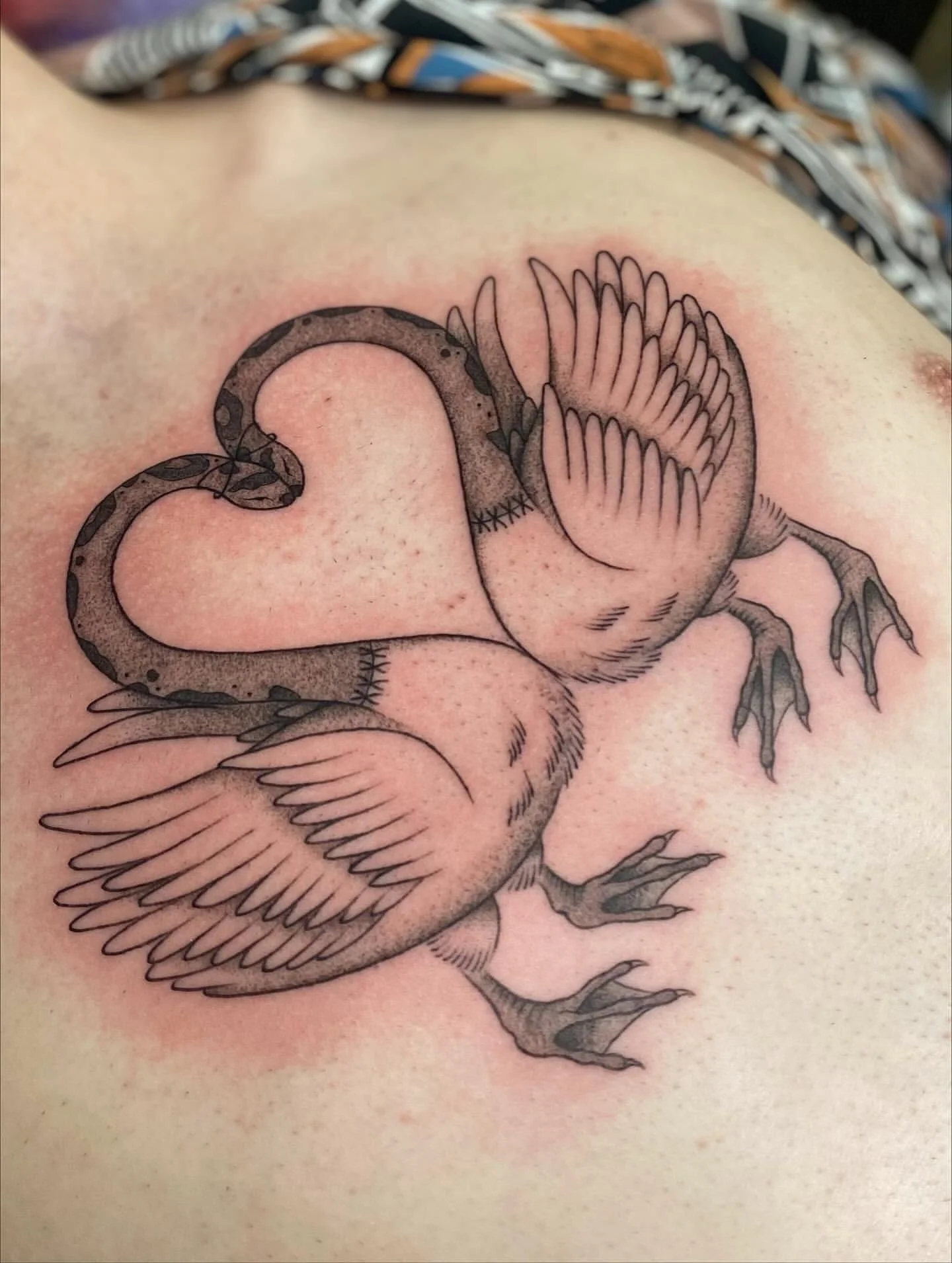 @daynajayde Snake swans based on a vintage illustration for Brodie 🦢 Mind the redness (classic chest)!

📍Upstairs @ 183 Boundary St, West End // Brisbane
📩 Bookings: Through @daynajayde or via contact form in our bio ✏️ 

#brisbanetattoo #australi