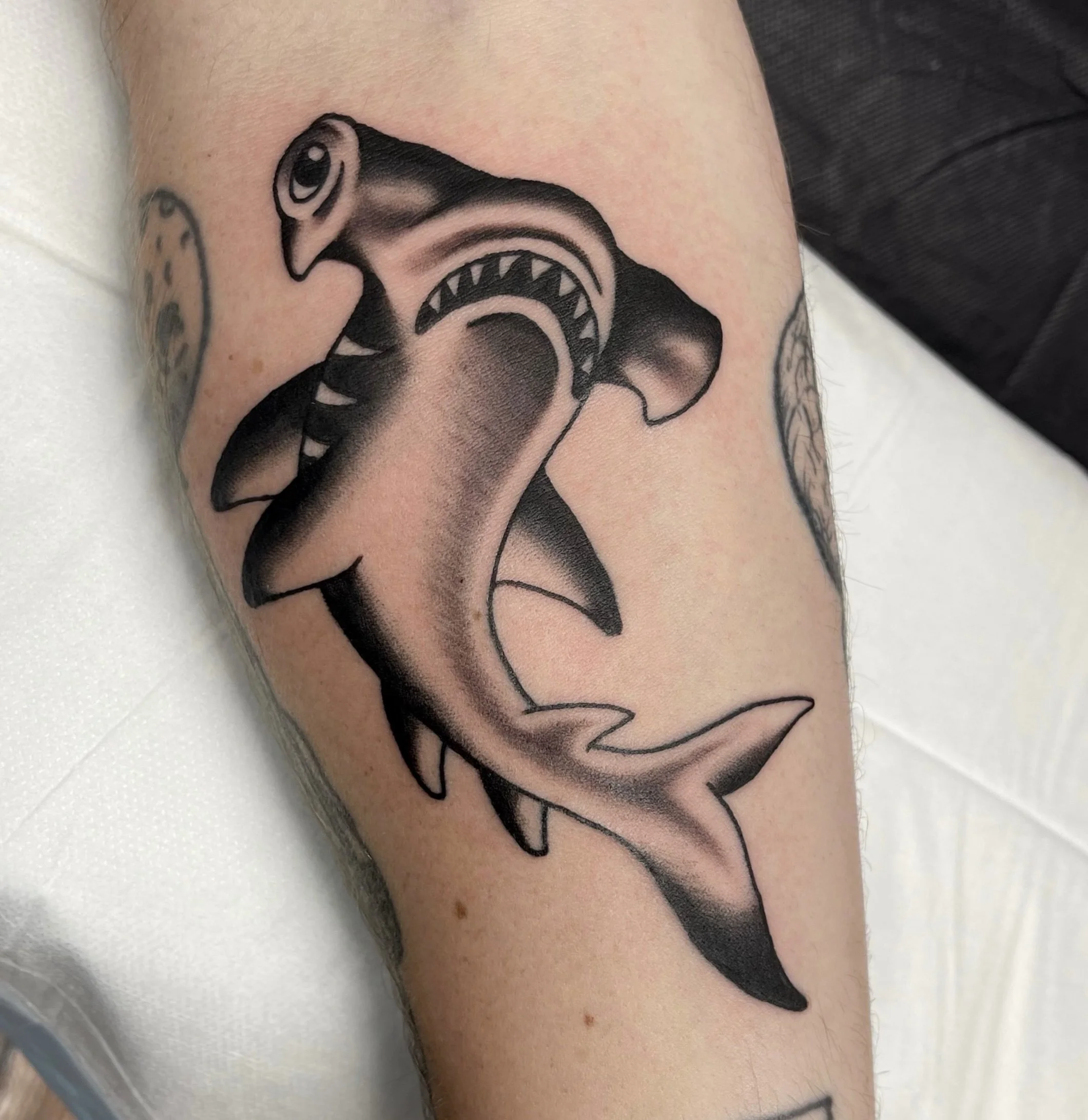 @katebtattoo Hammerhead shark from a while back I forgot to post 🫪🦈Thanks again Phin!

📍Upstairs @ 183 Boundary St, West End // Brisbane
📩 Bookings: Through @katebtattoo or via contact form in our bio ✏️ 

#brisbane #brisbanetattoo #brisbanetatto