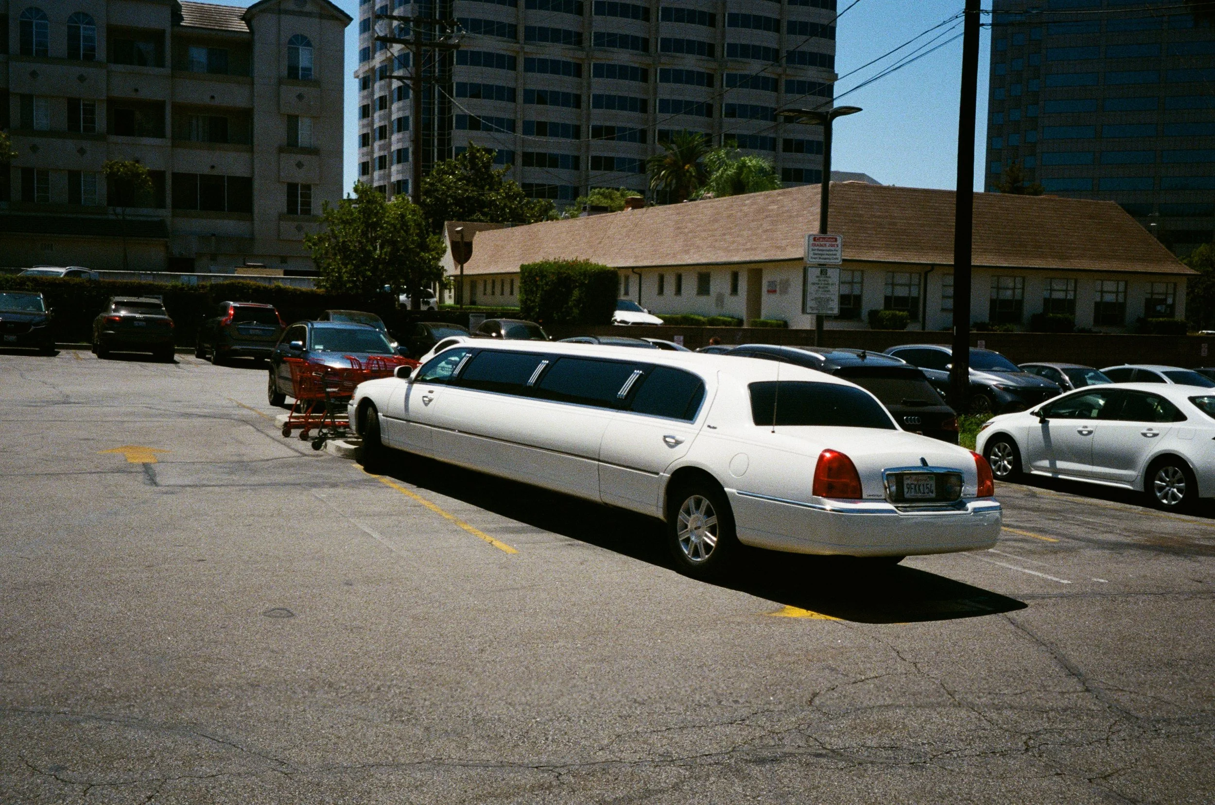 TSH-0826-09.jpg