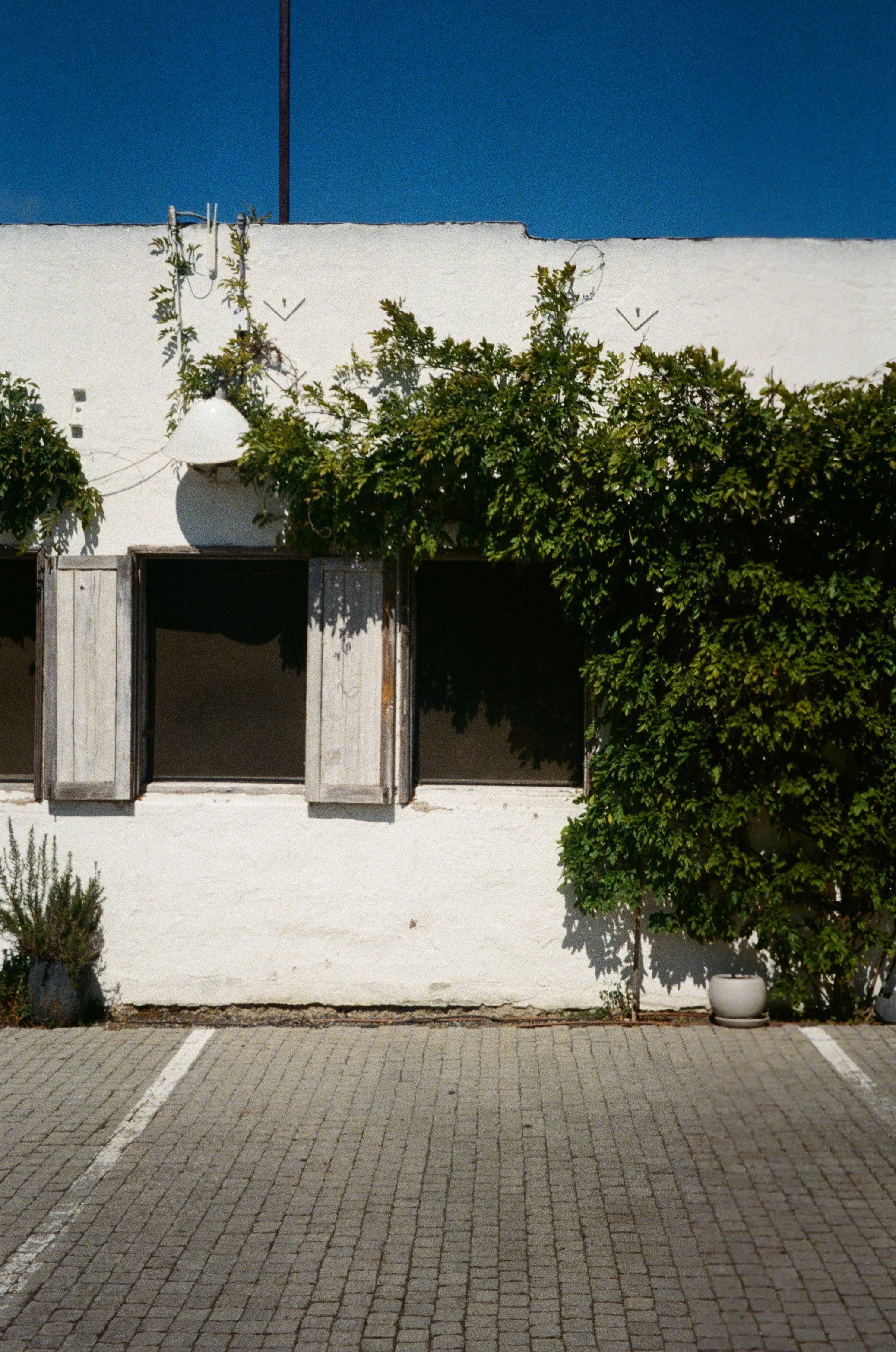 TSH-0826-46.jpg