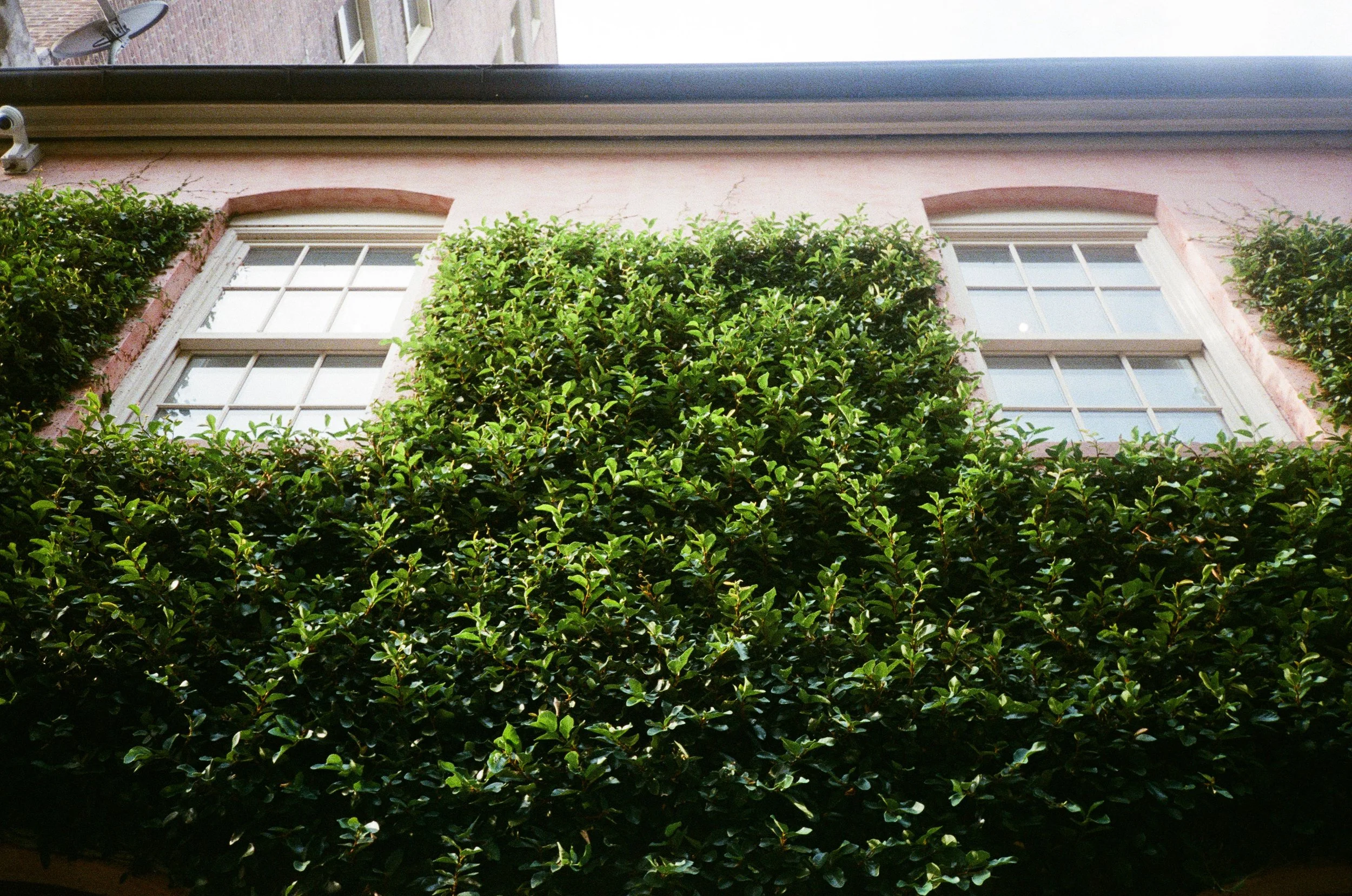 TSH-0826-13.jpg