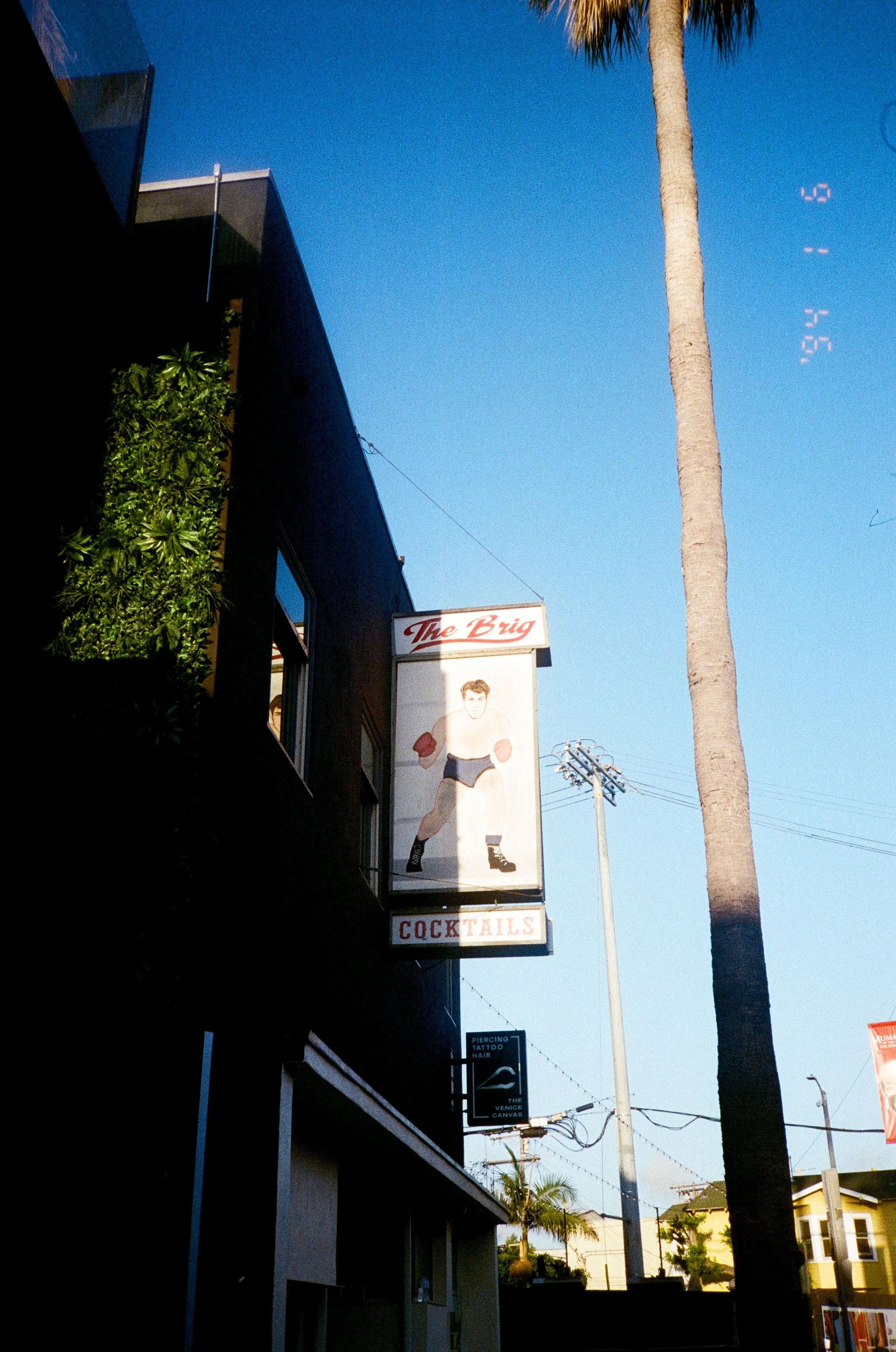 TSH-0626-54.jpg