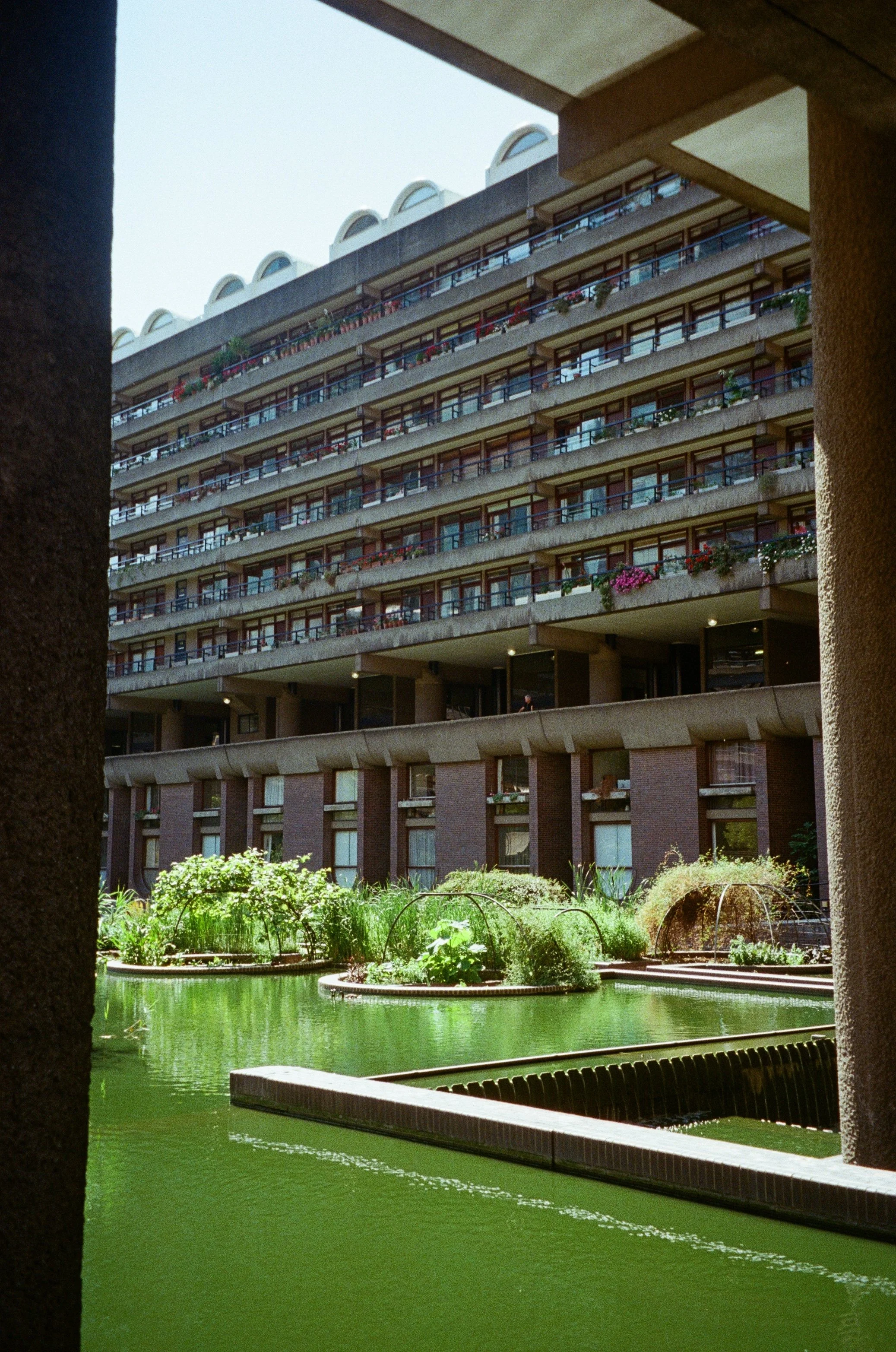 london12.jpg