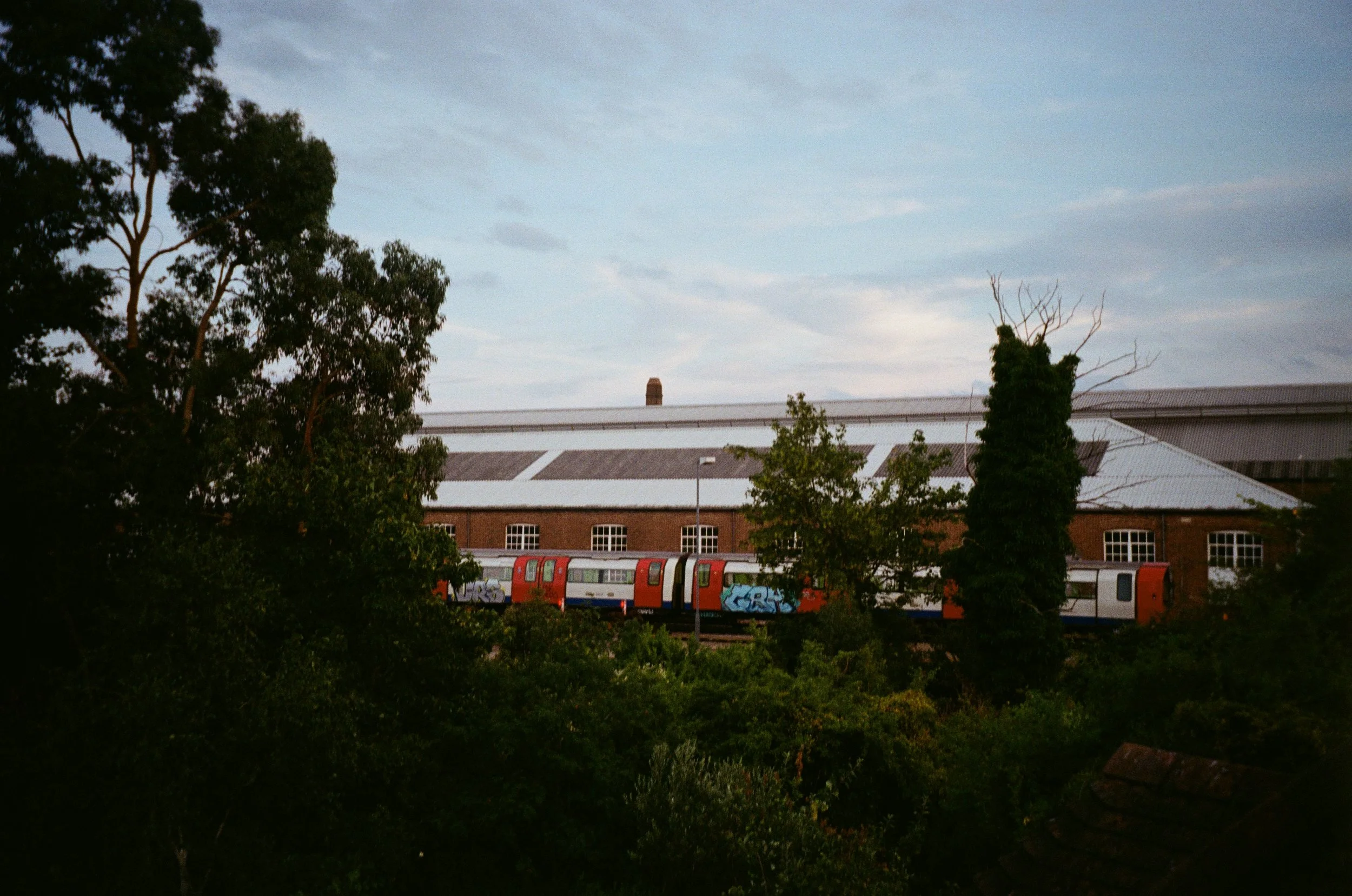 london6.jpg