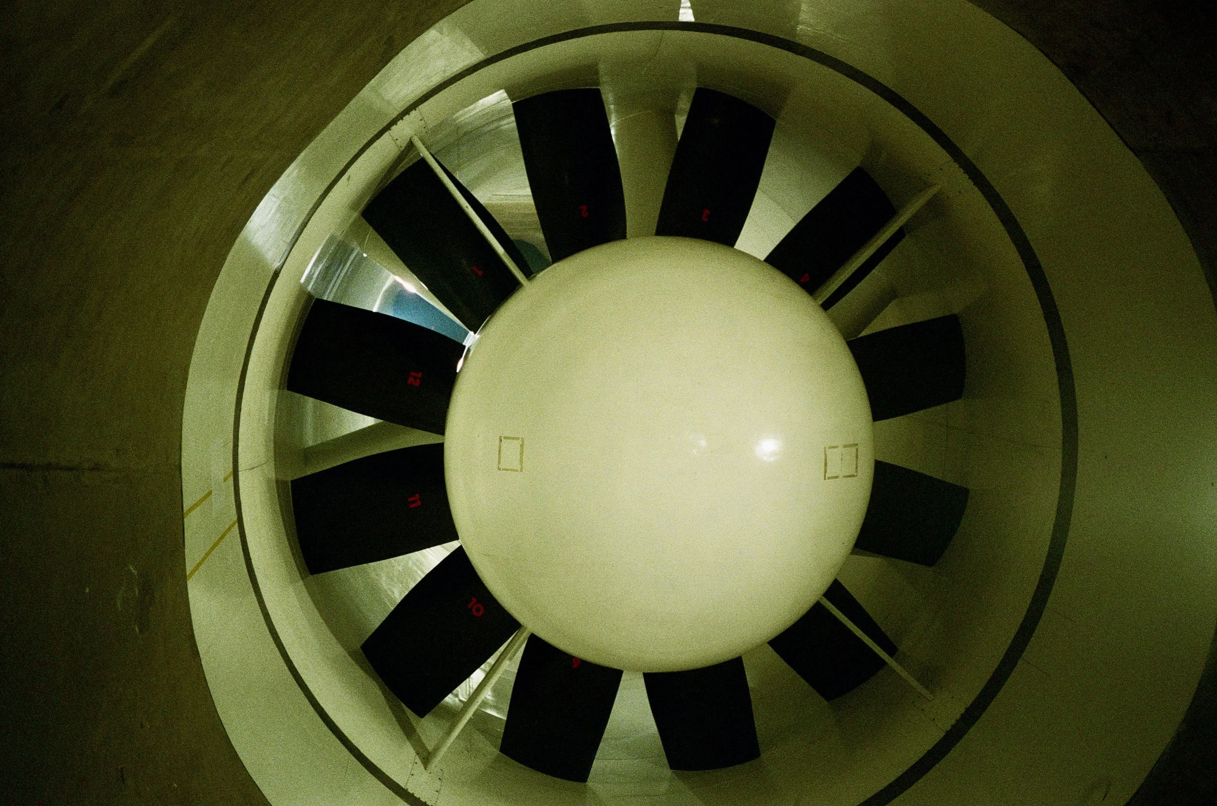 TSH-0926-31.jpg