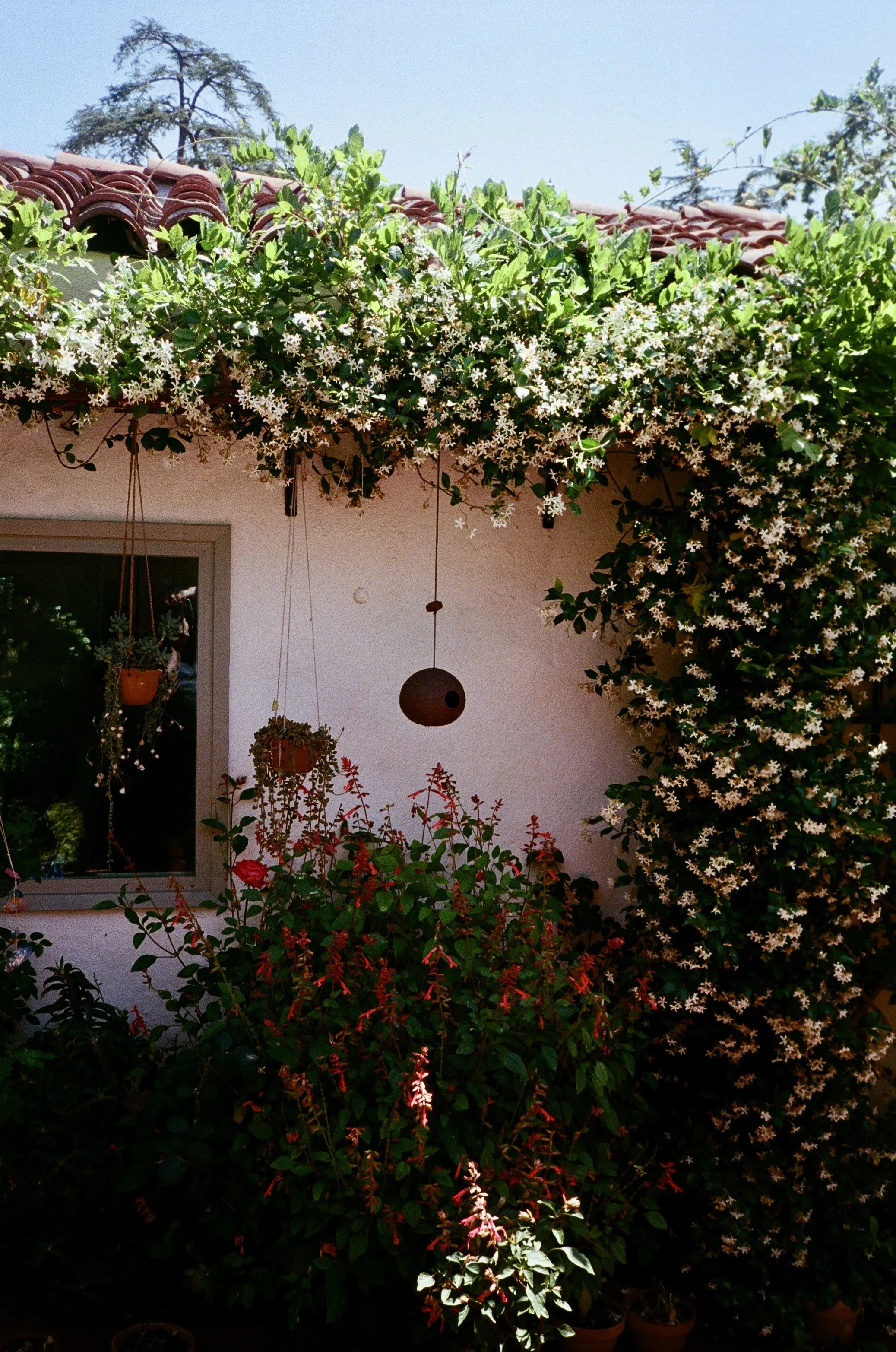 TSH-0526-18.jpg